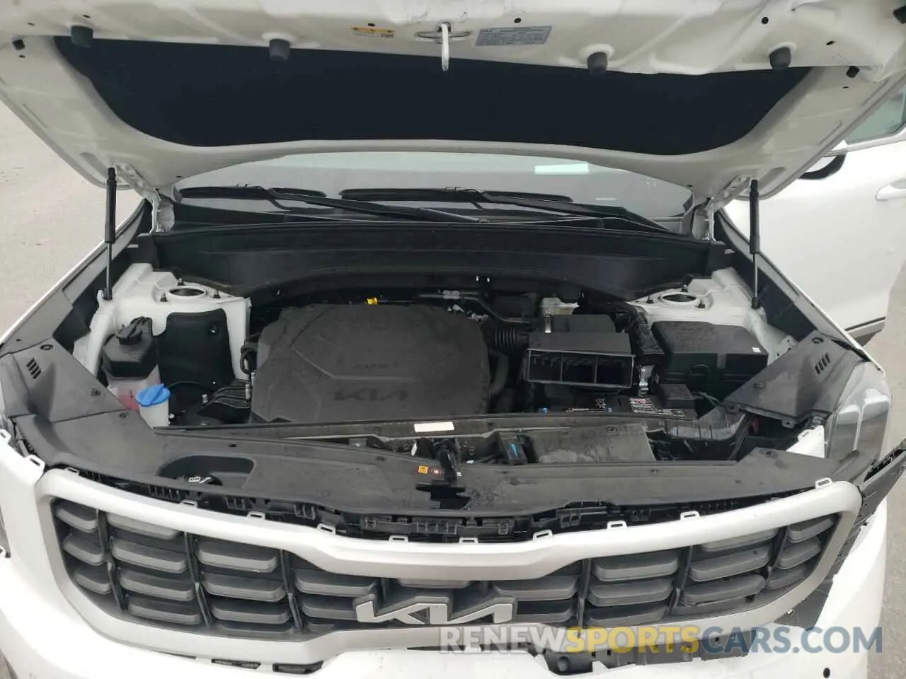 12 Photograph of a damaged car 5XYP5DGC4RG544175 KIA TELLURIDE 2024