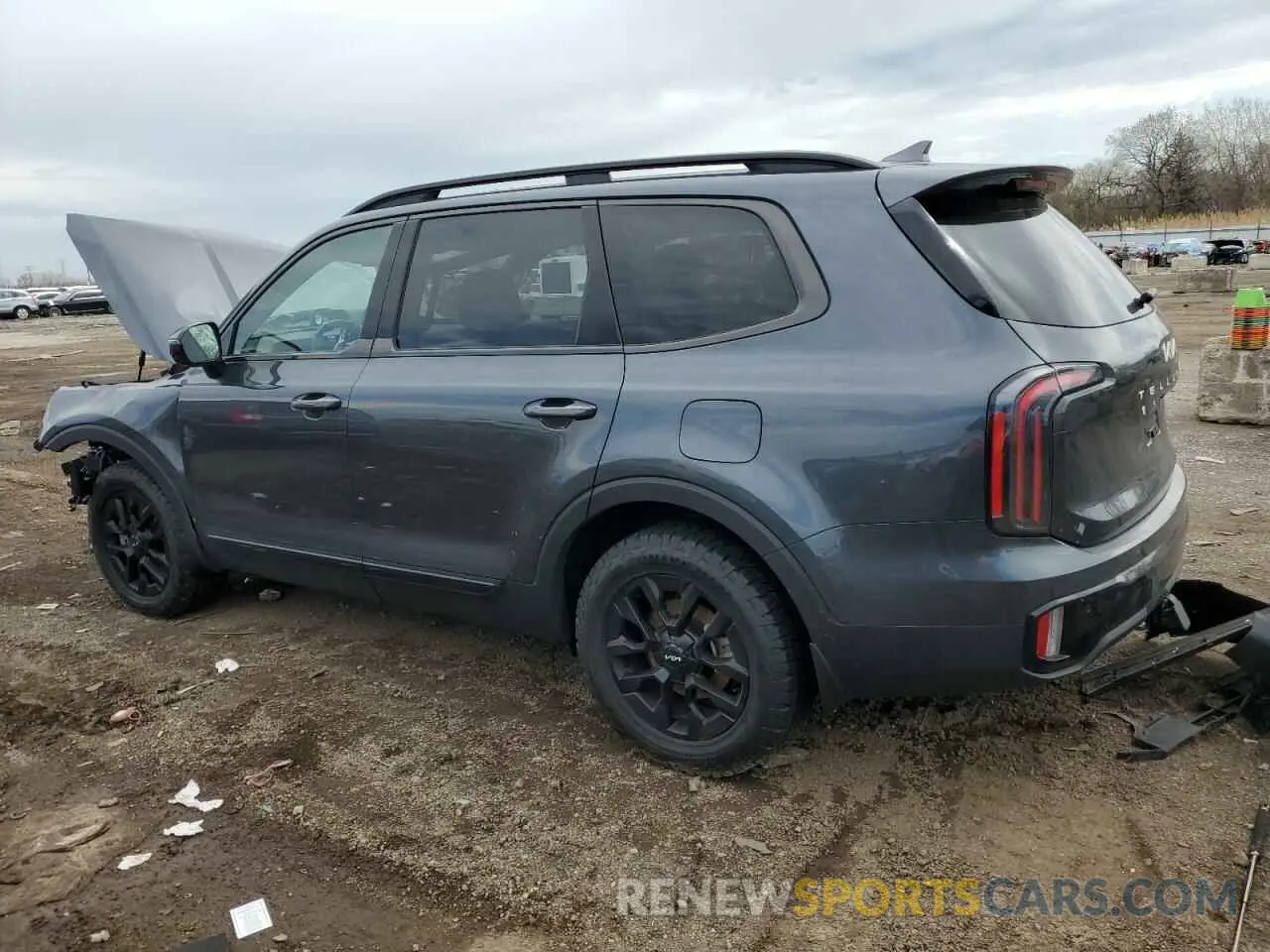 2 Photograph of a damaged car 5XYP5DGC6RG438035 KIA TELLURIDE 2024