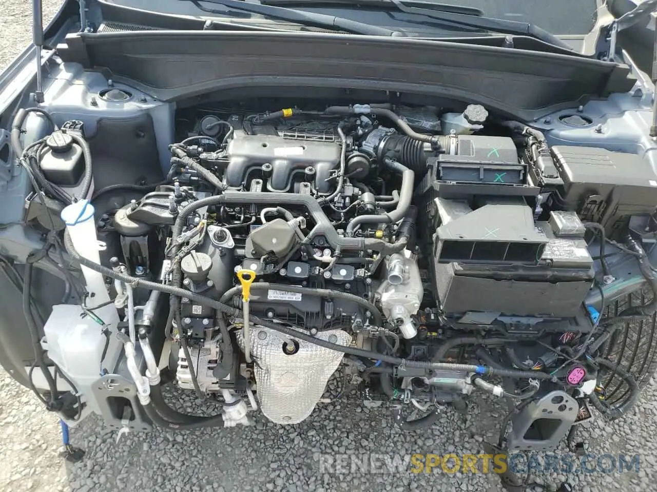 12 Photograph of a damaged car 5XYP5DGC7RG519898 KIA TELLURIDE 2024