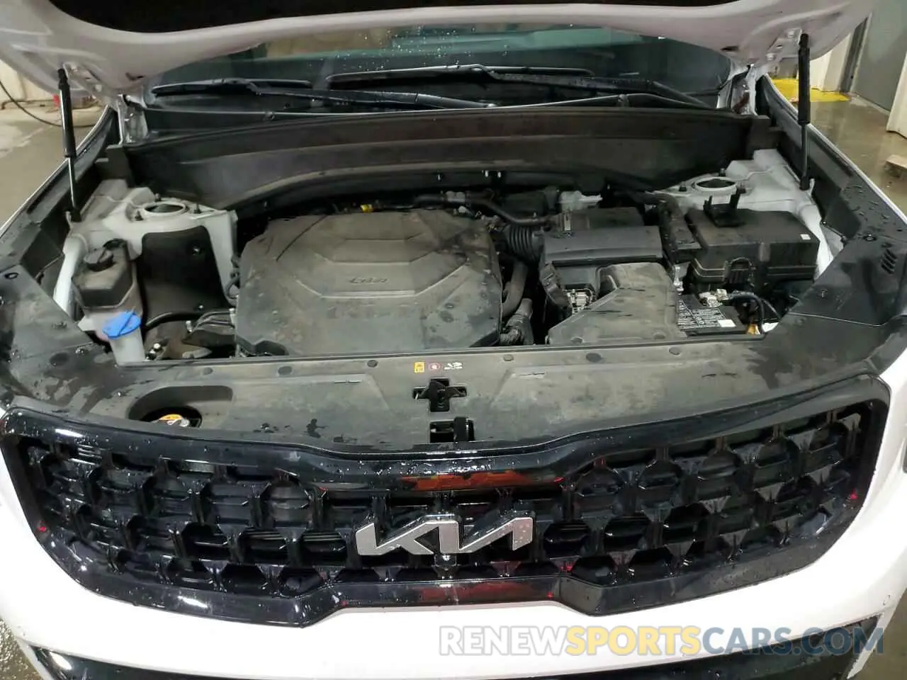 13 Photograph of a damaged car 5XYP5DGC9RG436344 KIA TELLURIDE 2024