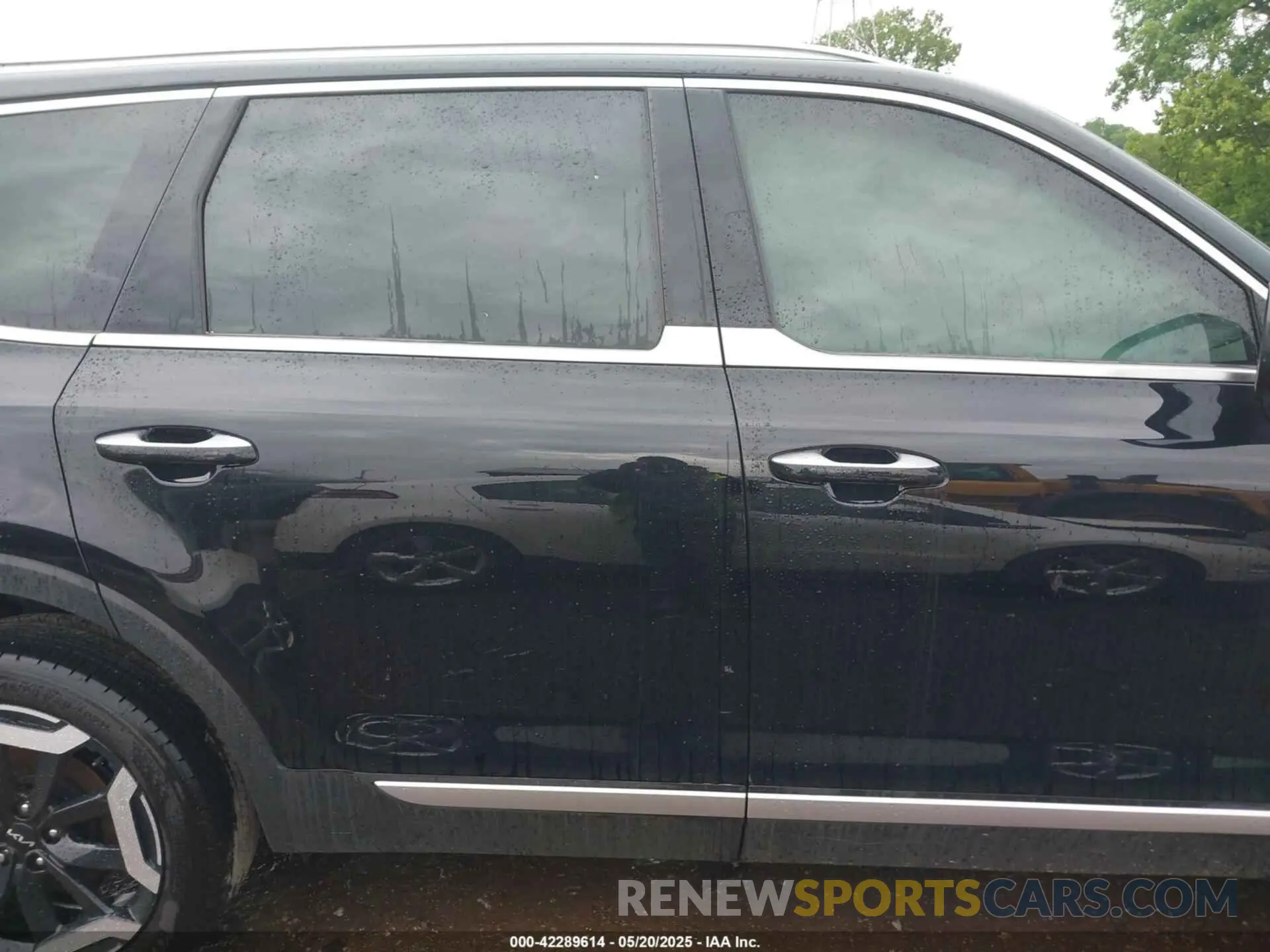 13 Photograph of a damaged car 5XYP64GC3RG552314 KIA TELLURIDE 2024
