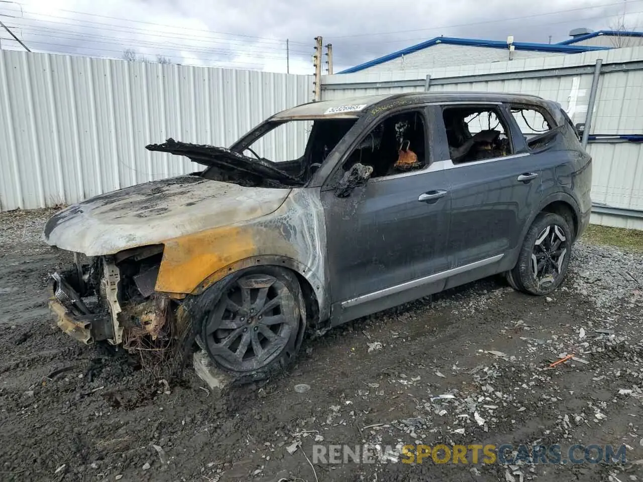 1 Photograph of a damaged car 5XYP6DGC0RG454910 KIA TELLURIDE 2024