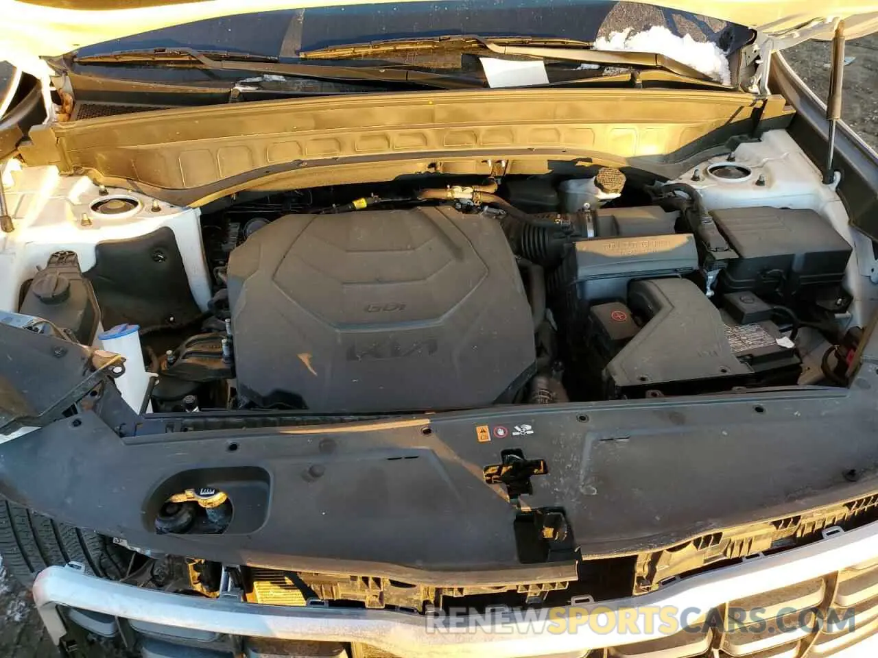 12 Photograph of a damaged car 5XYP6DGC2RG498262 KIA TELLURIDE 2024
