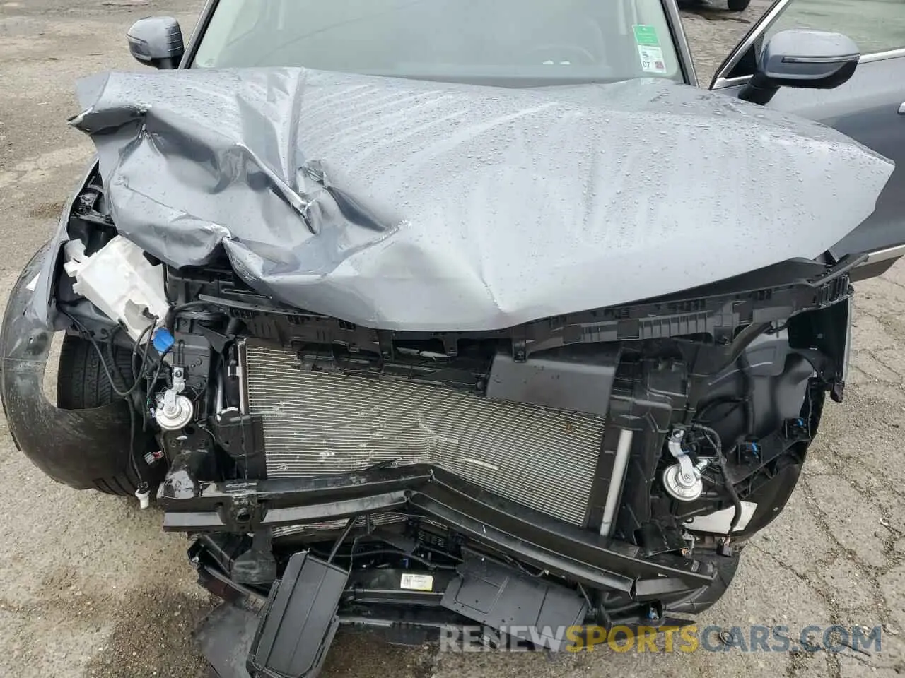 12 Photograph of a damaged car 5XYP6DGC2RG543796 KIA TELLURIDE 2024