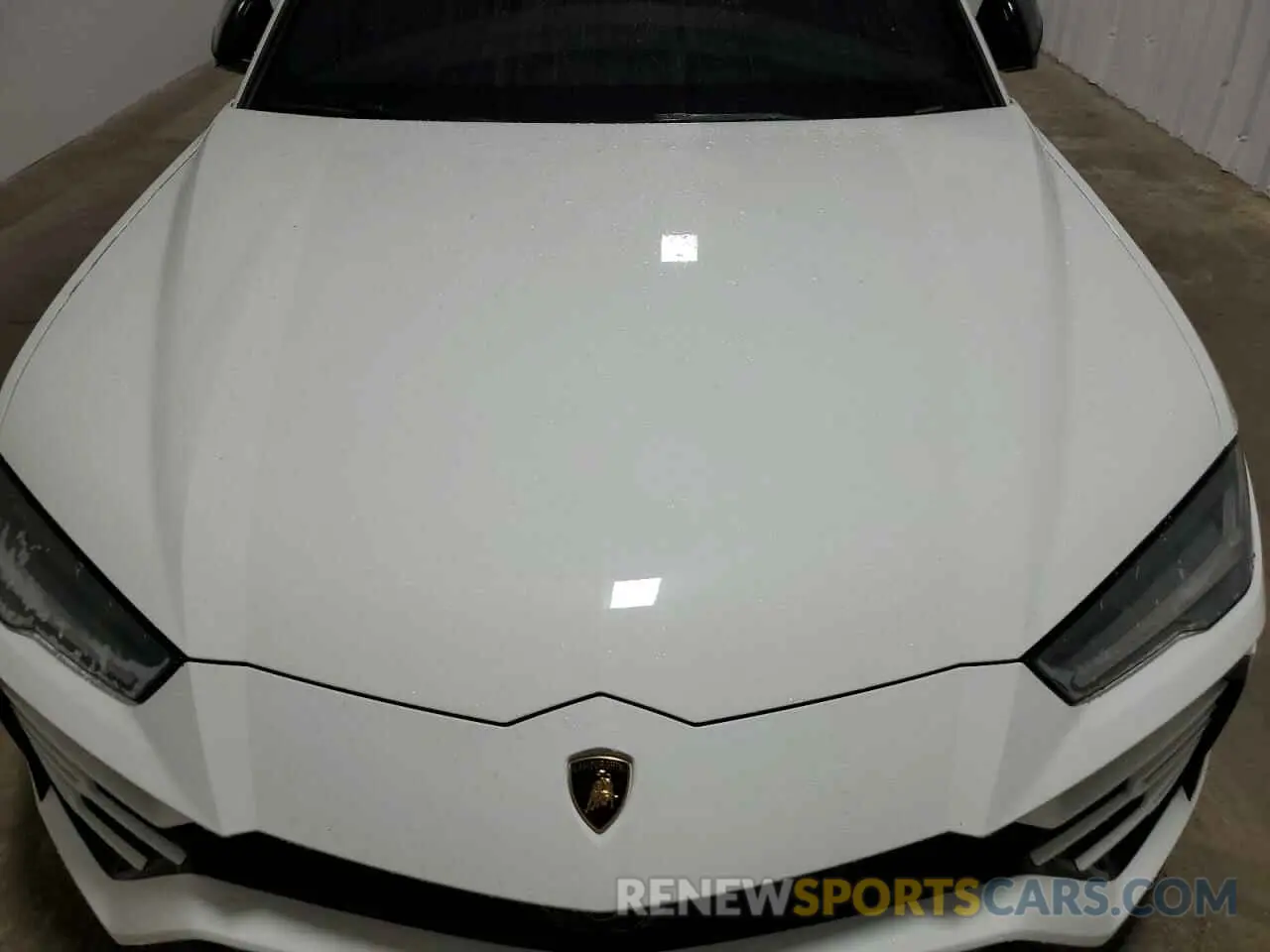 12 Photograph of a damaged car ZPBUA1ZL7KLA03750 LAMBORGHINI ALL MODELS 2019