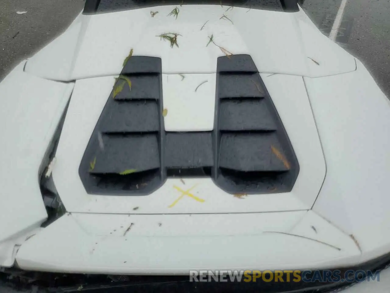 11 Photograph of a damaged car ZHWUT4ZF0PLA22378 LAMBORGHINI ALL MODELS 2023