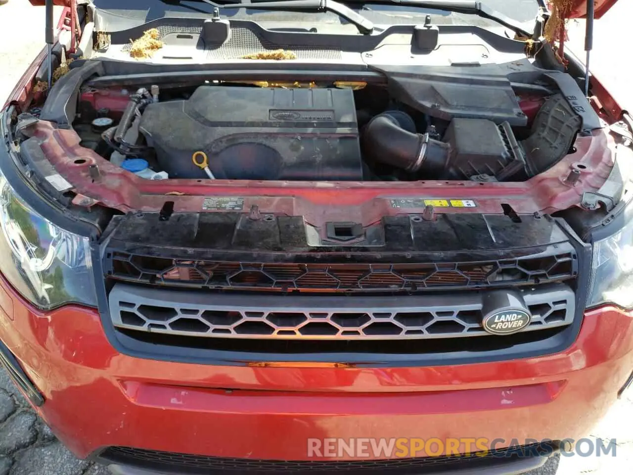 11 Photograph of a damaged car SALCP2FX9KH800897 LAND ROVER DISCOVERY 2019