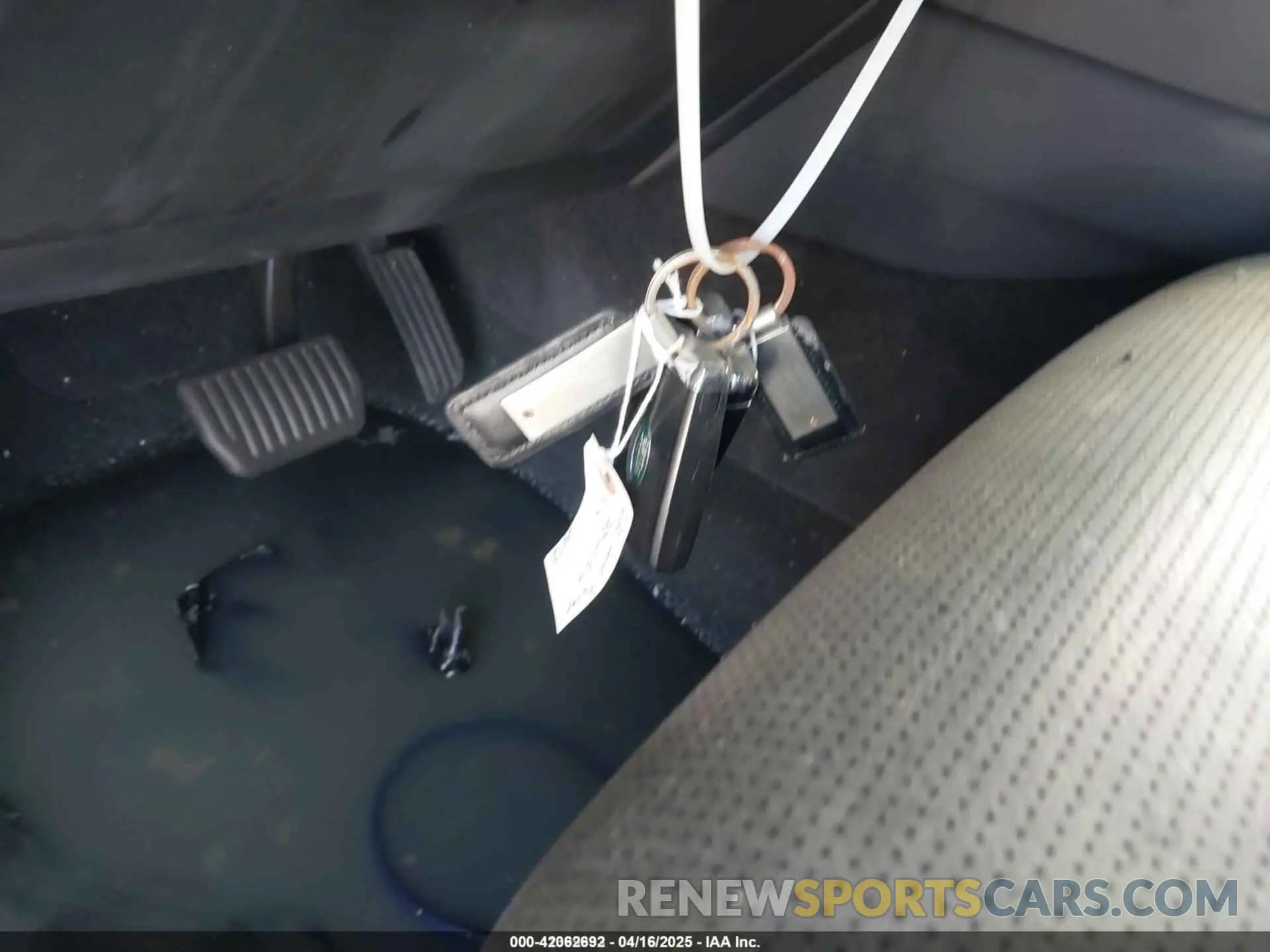 11 Photograph of a damaged car SALCJ2FX9LH836673 LAND ROVER DISCOVERY SPORT 2020