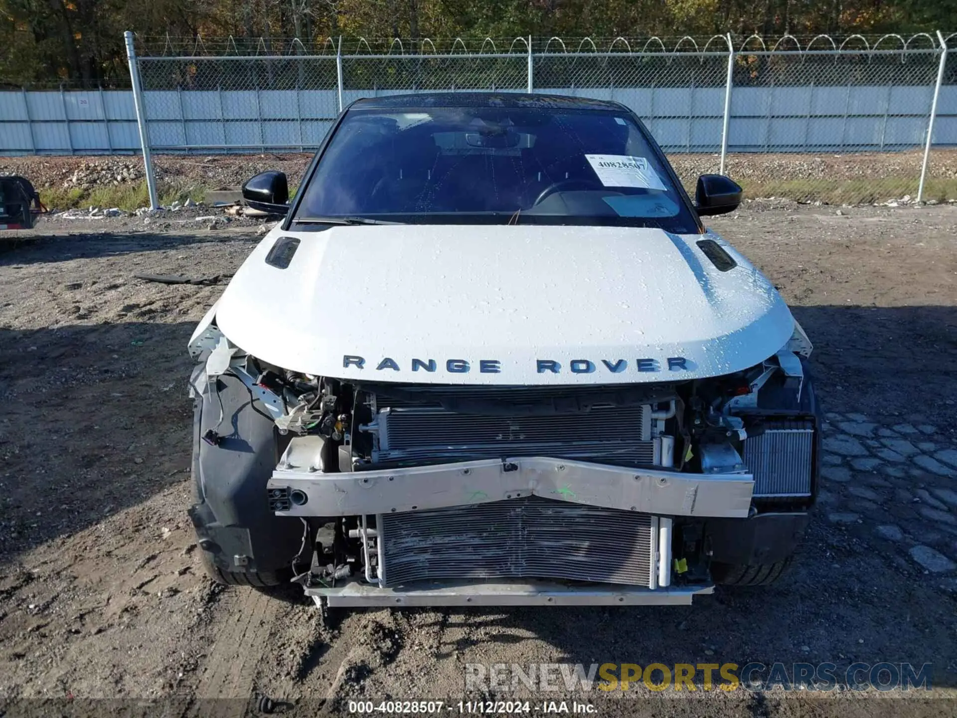13 Photograph of a damaged car SALZL2GX6LH009541 LAND ROVER RANGE ROVER EVOQUE 2020