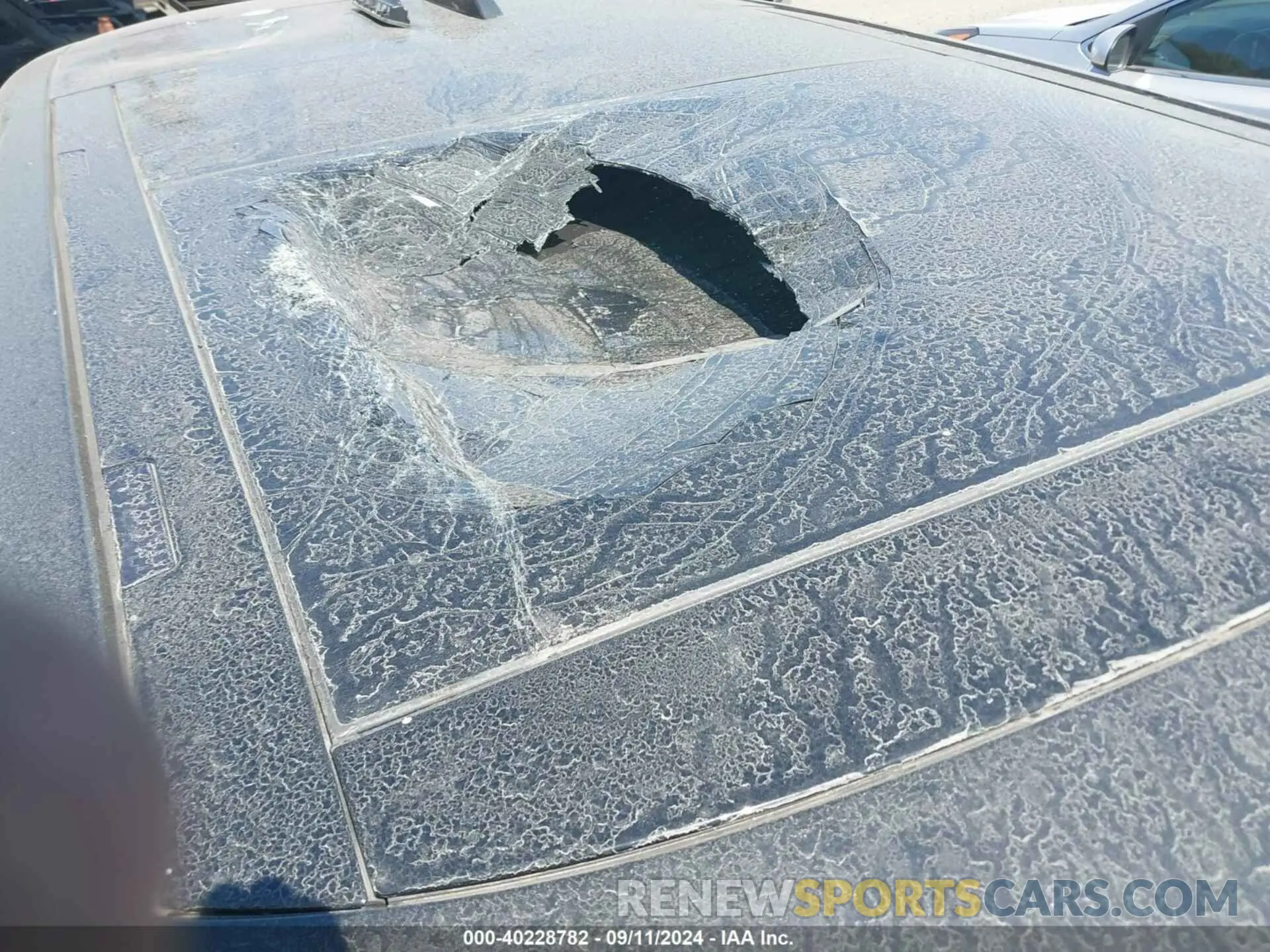 13 Photograph of a damaged car SAL1P9EU2RA174300 LAND ROVER RANGE ROVER SPORT 2024