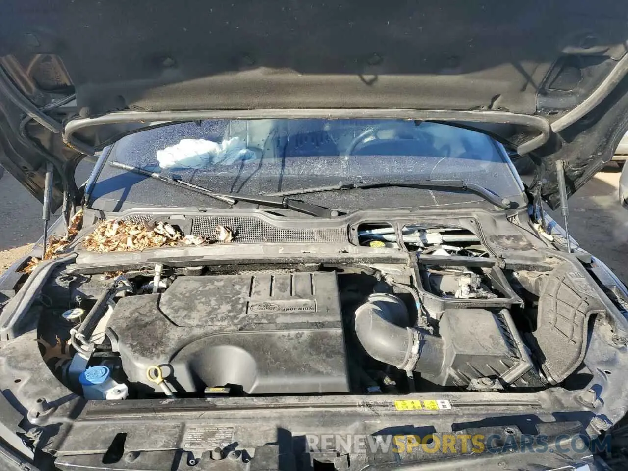 11 Photograph of a damaged car SALVP2RXXKH345014 LAND ROVER RANGEROVER 2019