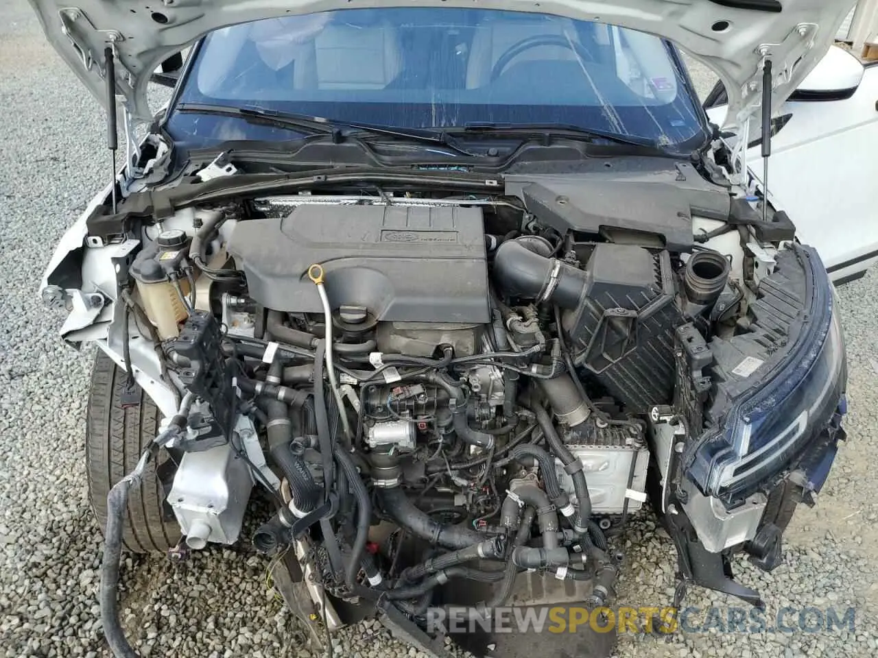 11 Photograph of a damaged car SALZJ2FX7LH049148 LAND ROVER RANGEROVER 2020