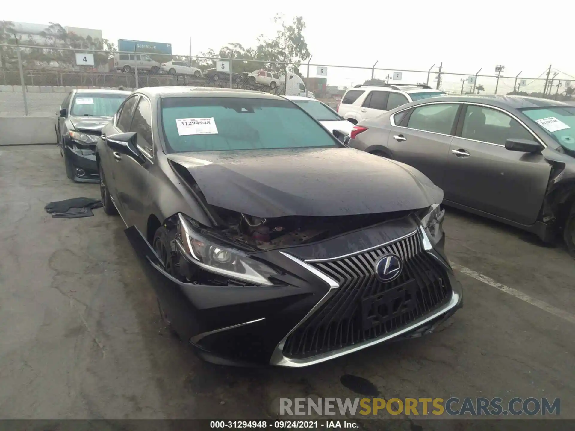 6 Photograph of a damaged car 58AB21B13KU003893 LEXUS ES 2019