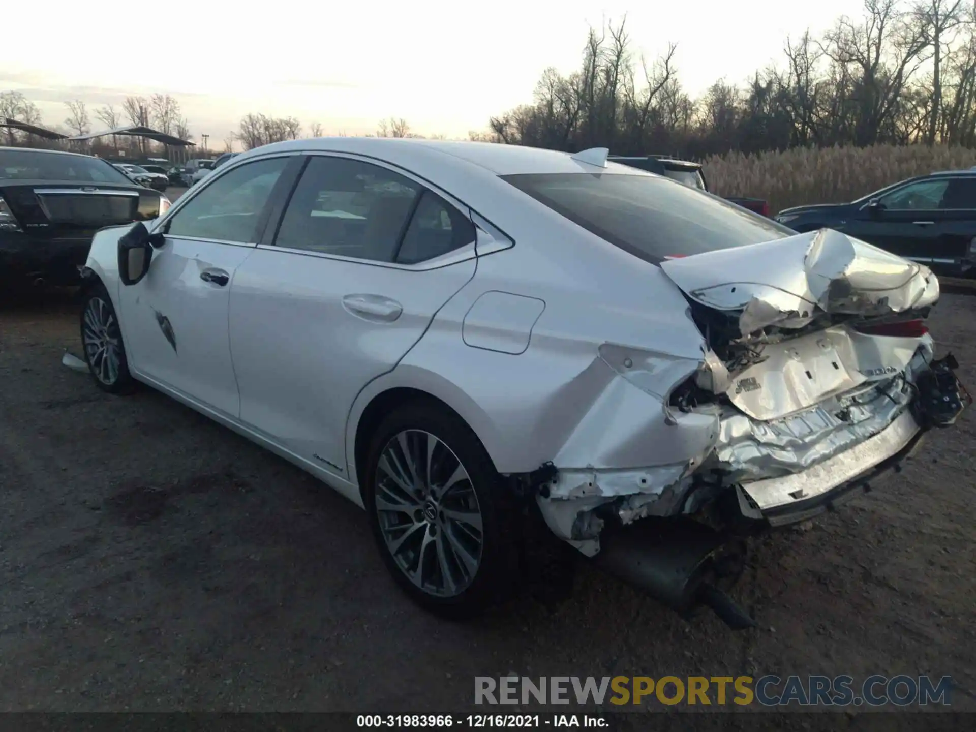 3 Photograph of a damaged car 58AD21B14LU008370 LEXUS ES 2020