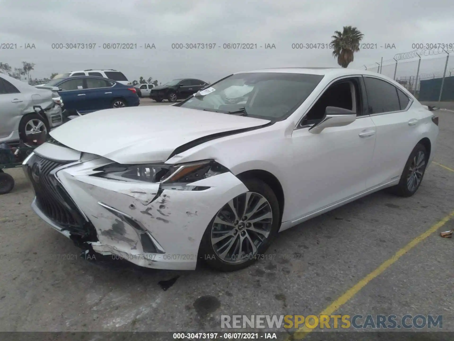 2 Photograph of a damaged car 58ADA1C19MU004964 LEXUS ES 2021