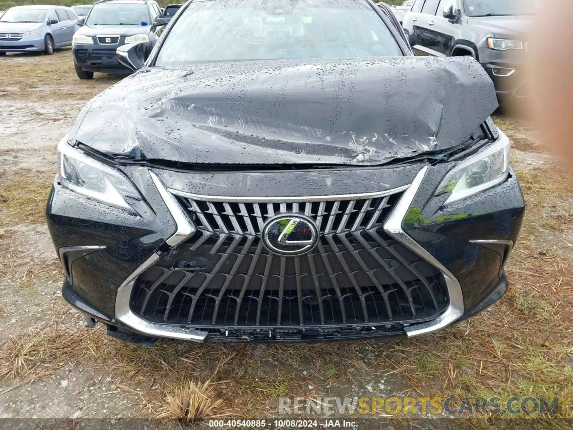 12 Photograph of a damaged car 58ADA1C10PU029918 LEXUS ES 2023