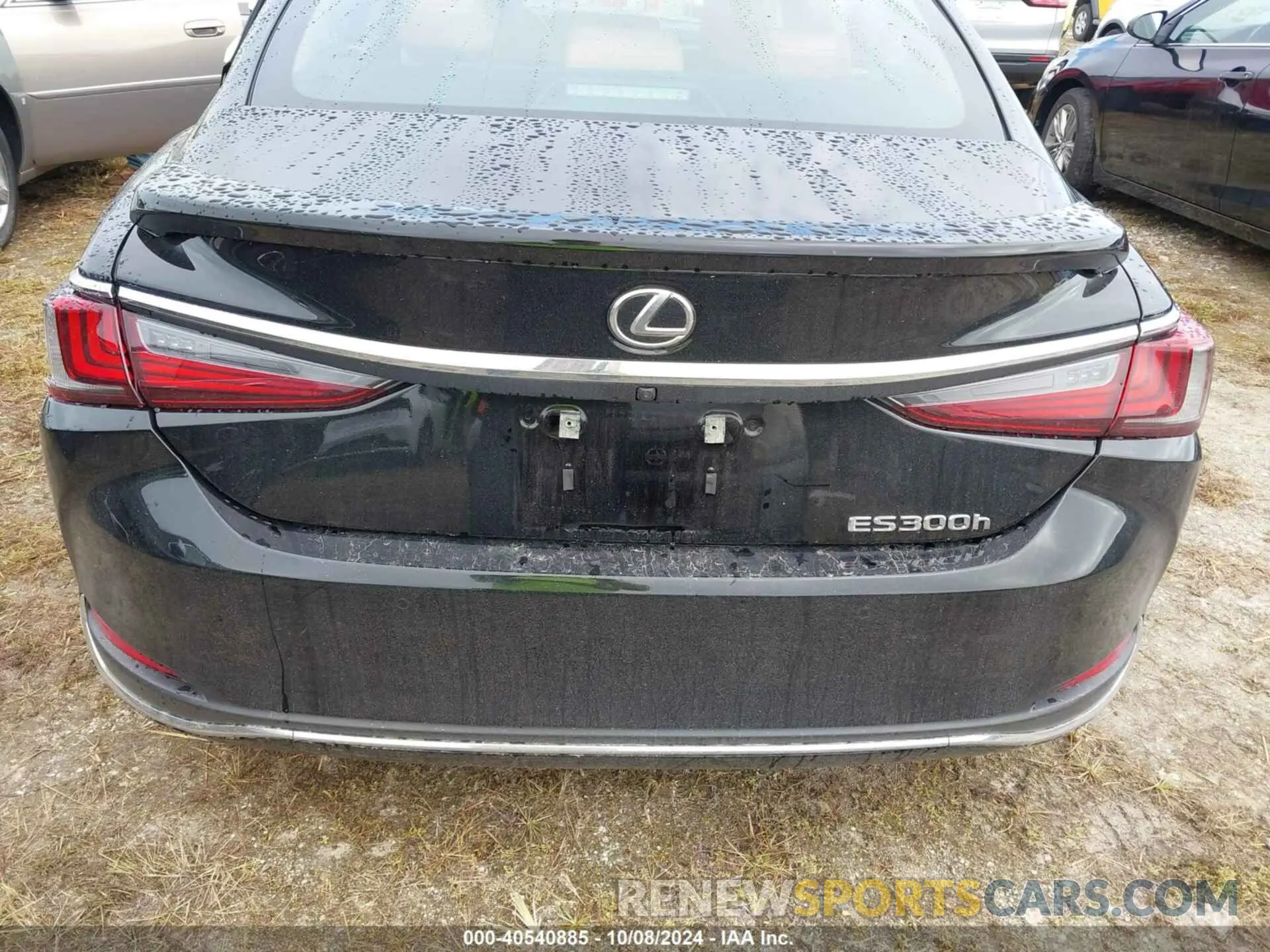16 Photograph of a damaged car 58ADA1C10PU029918 LEXUS ES 2023