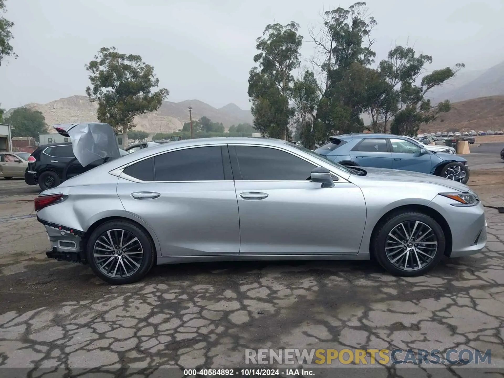 14 Photograph of a damaged car 58ADZ1B11RU173667 LEXUS ES 2024
