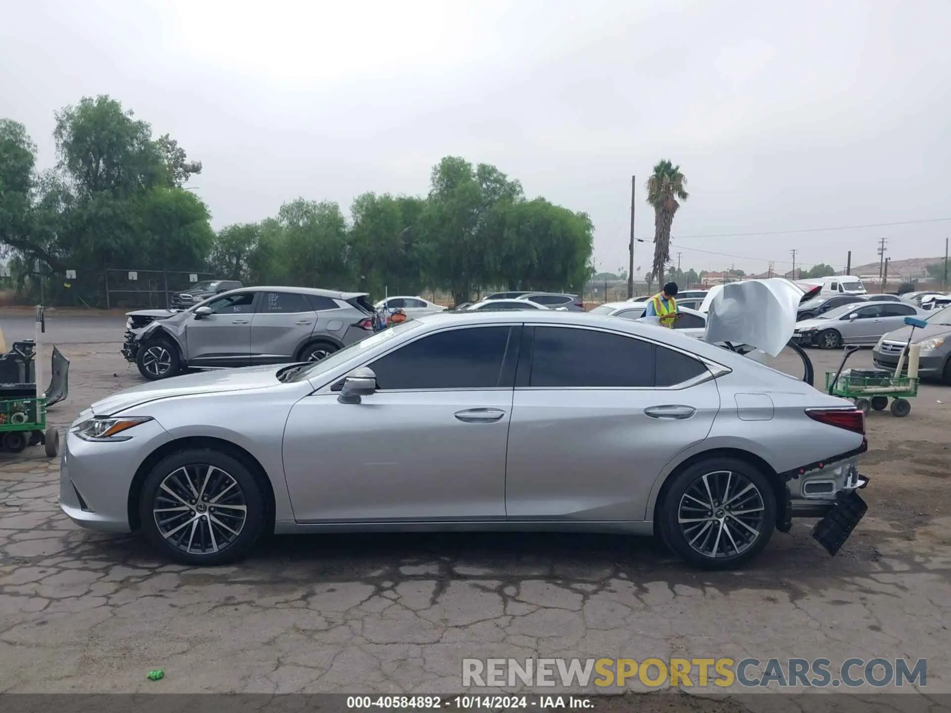 15 Photograph of a damaged car 58ADZ1B11RU173667 LEXUS ES 2024