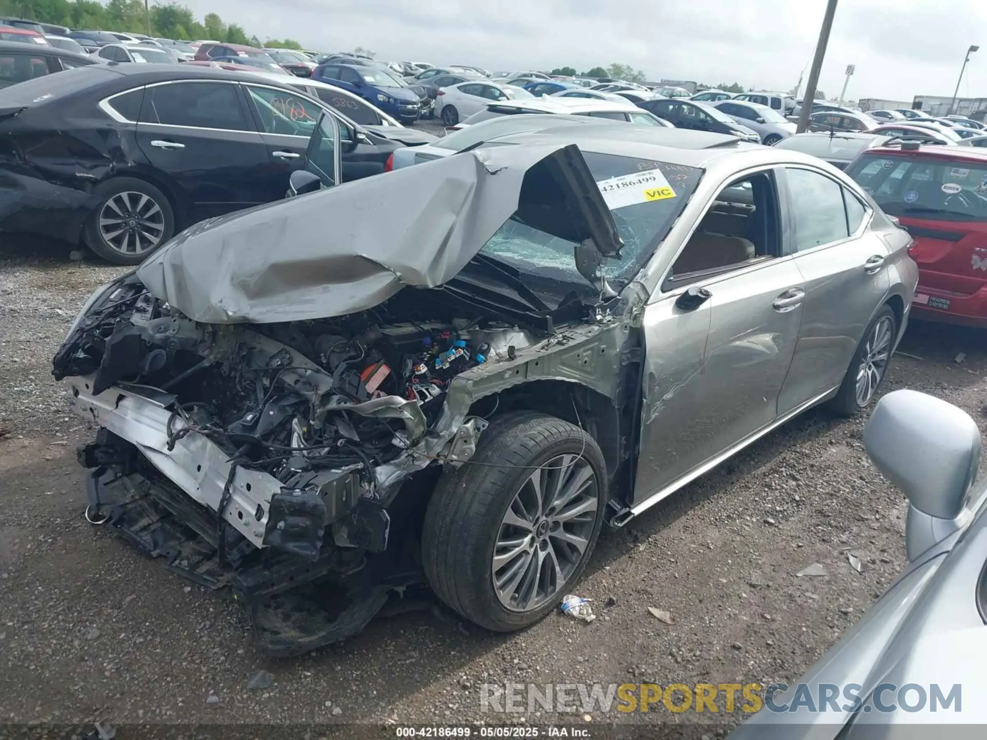 2 Photograph of a damaged car 58AD11D11MU002155 LEXUS ES 250 2021