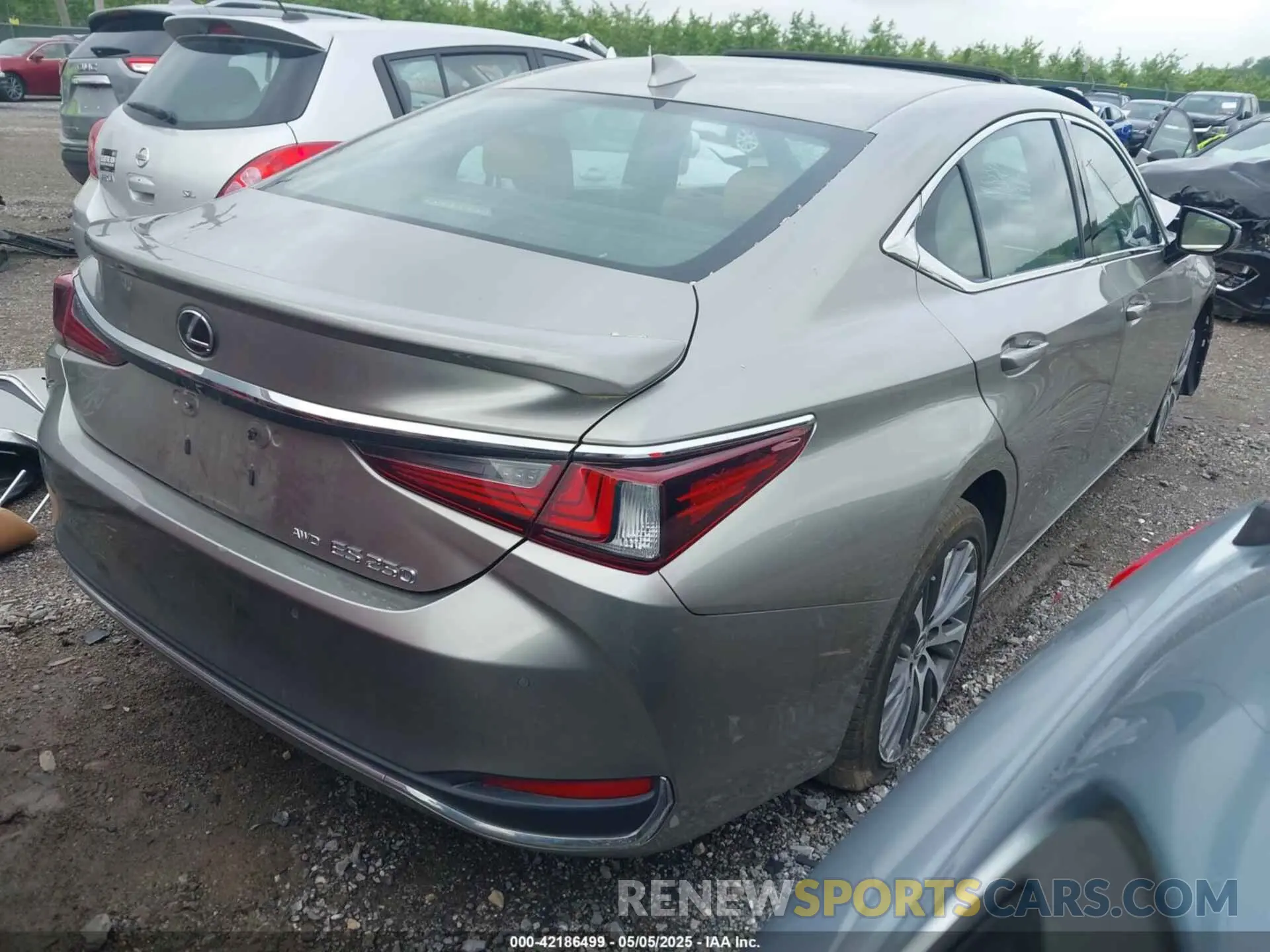 4 Photograph of a damaged car 58AD11D11MU002155 LEXUS ES 250 2021