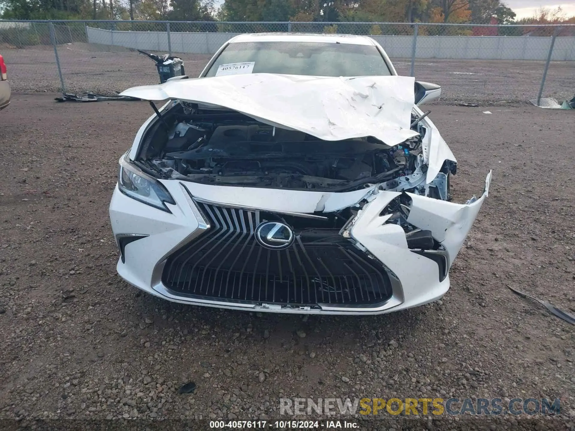 12 Photograph of a damaged car 58AD11D15MU008069 LEXUS ES 250 2021