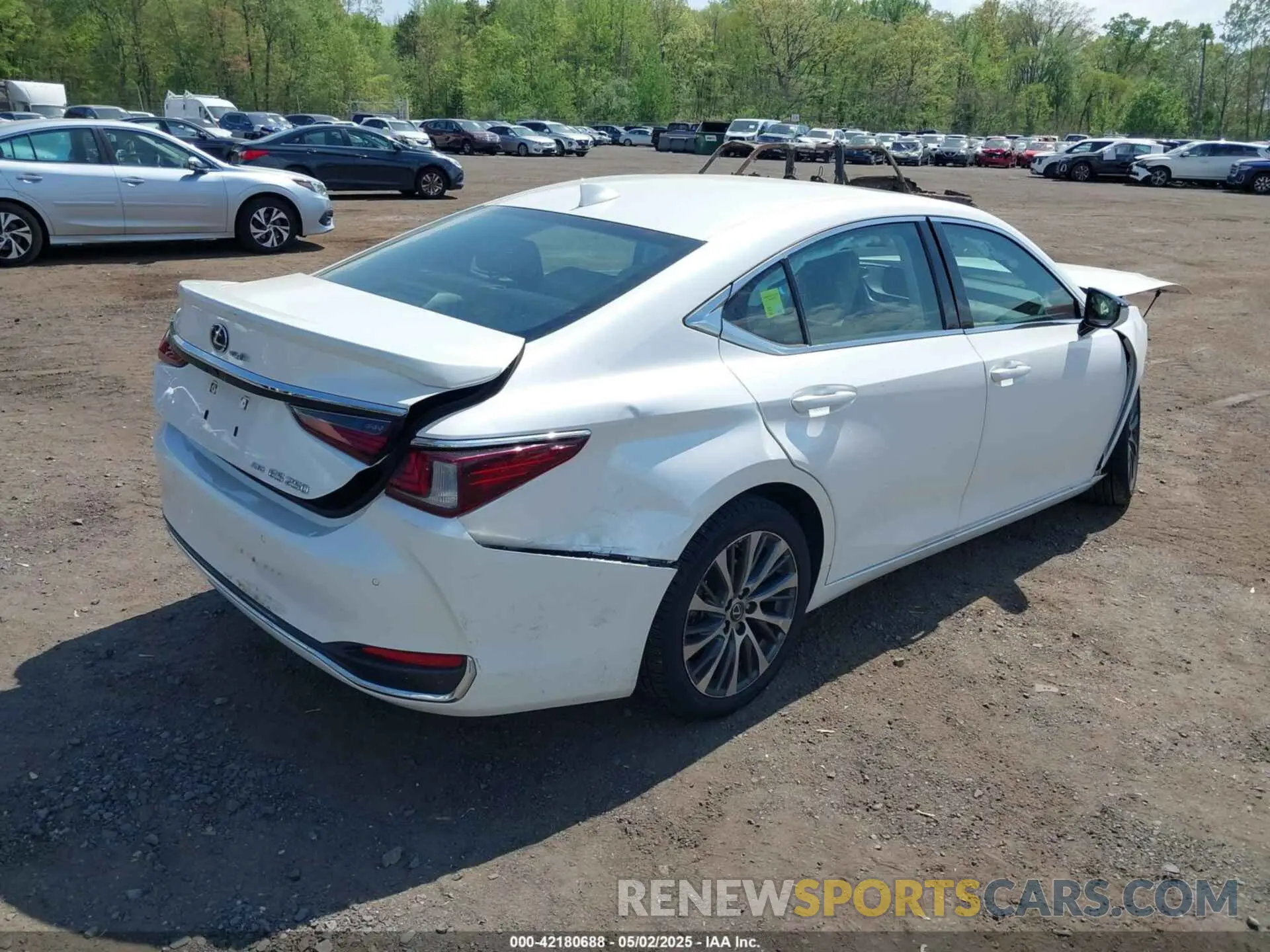 17 Photograph of a damaged car 58AD11D17MU005321 LEXUS ES 250 2021