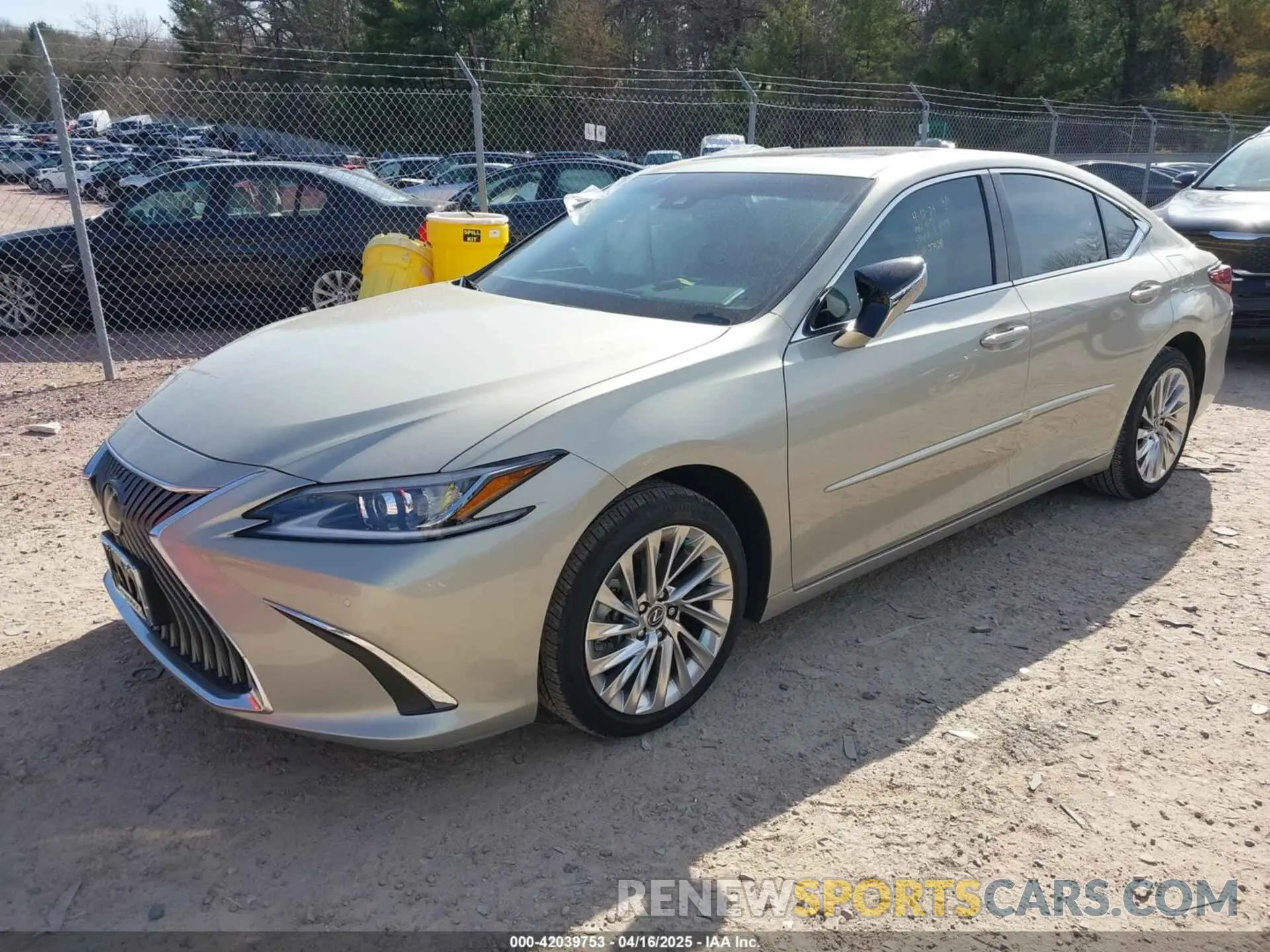 2 Photograph of a damaged car 58AF11D10MU004987 LEXUS ES 250 2021