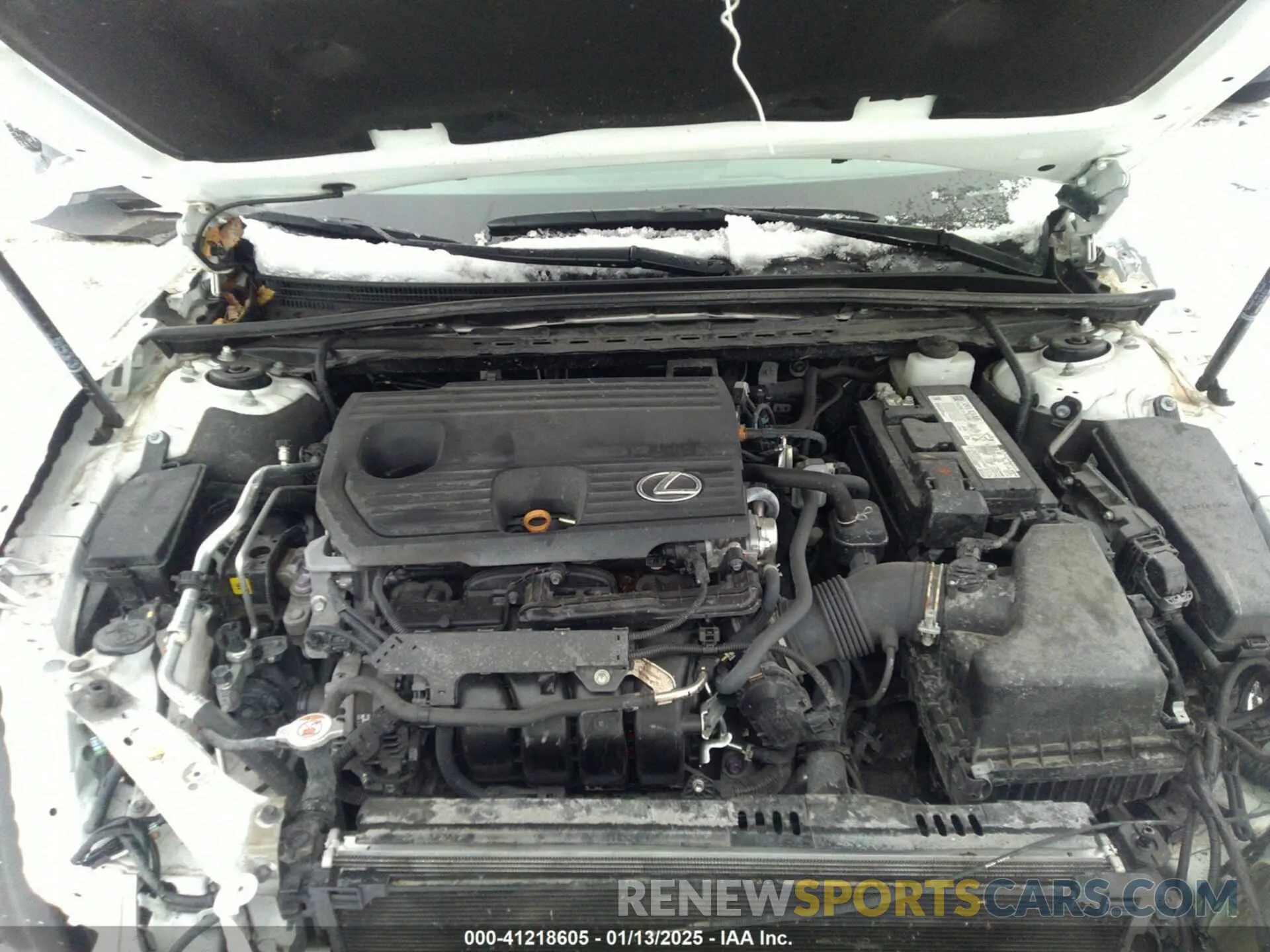 10 Photograph of a damaged car 58AD11D13NU009805 LEXUS ES 250 2022