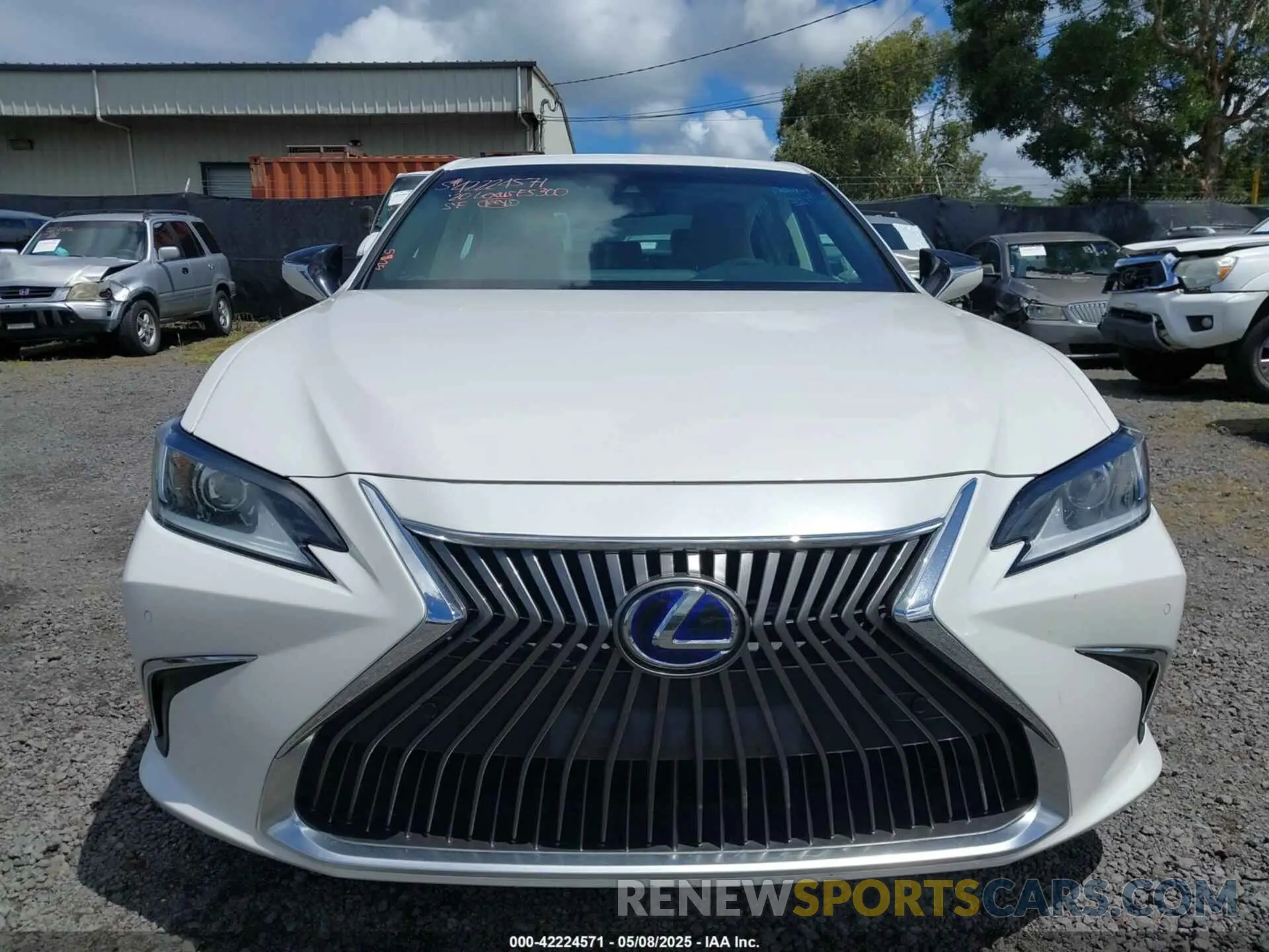 12 Photograph of a damaged car 58AD21B19LU005884 LEXUS ES 300H 2020