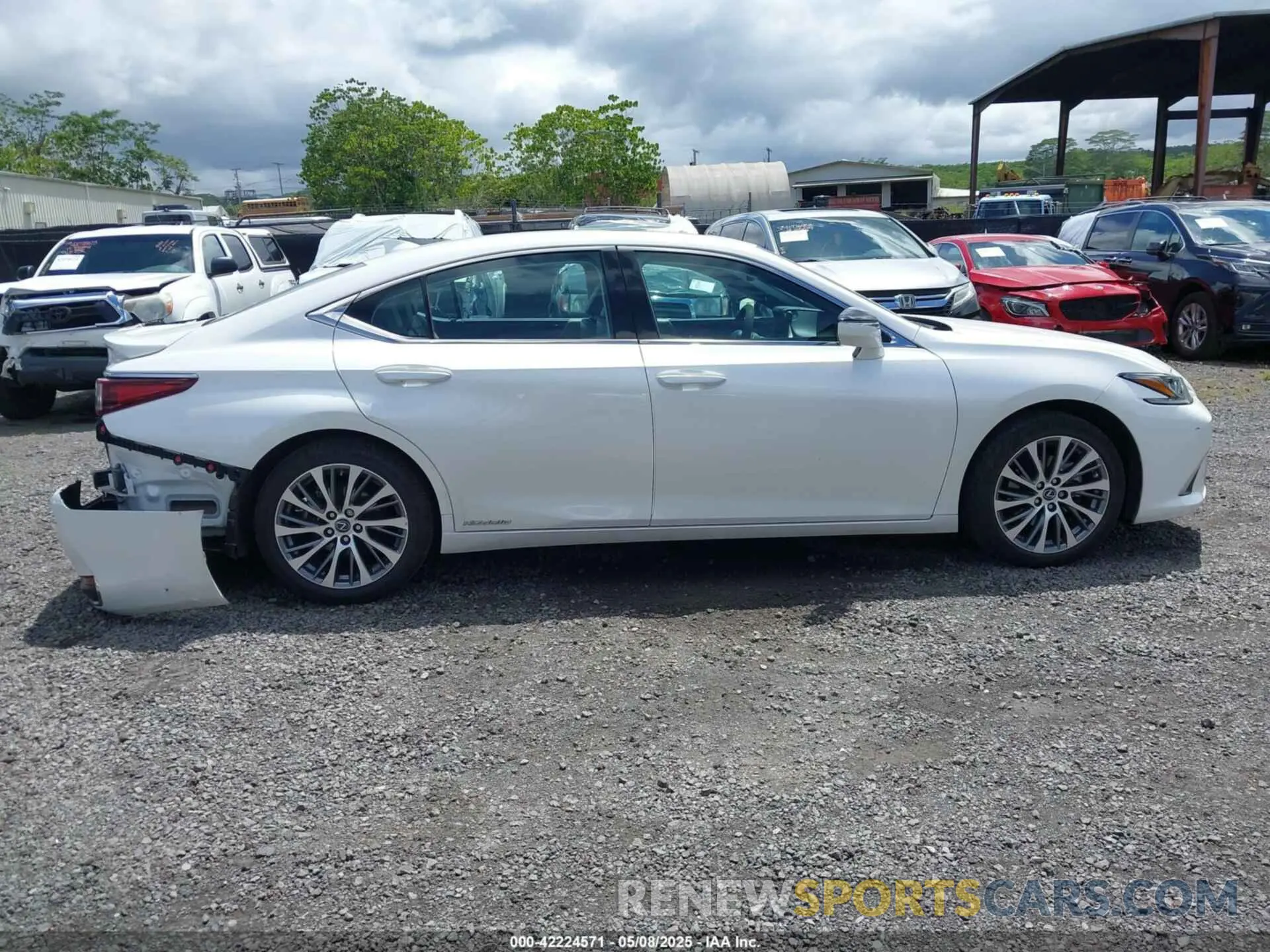 13 Photograph of a damaged car 58AD21B19LU005884 LEXUS ES 300H 2020