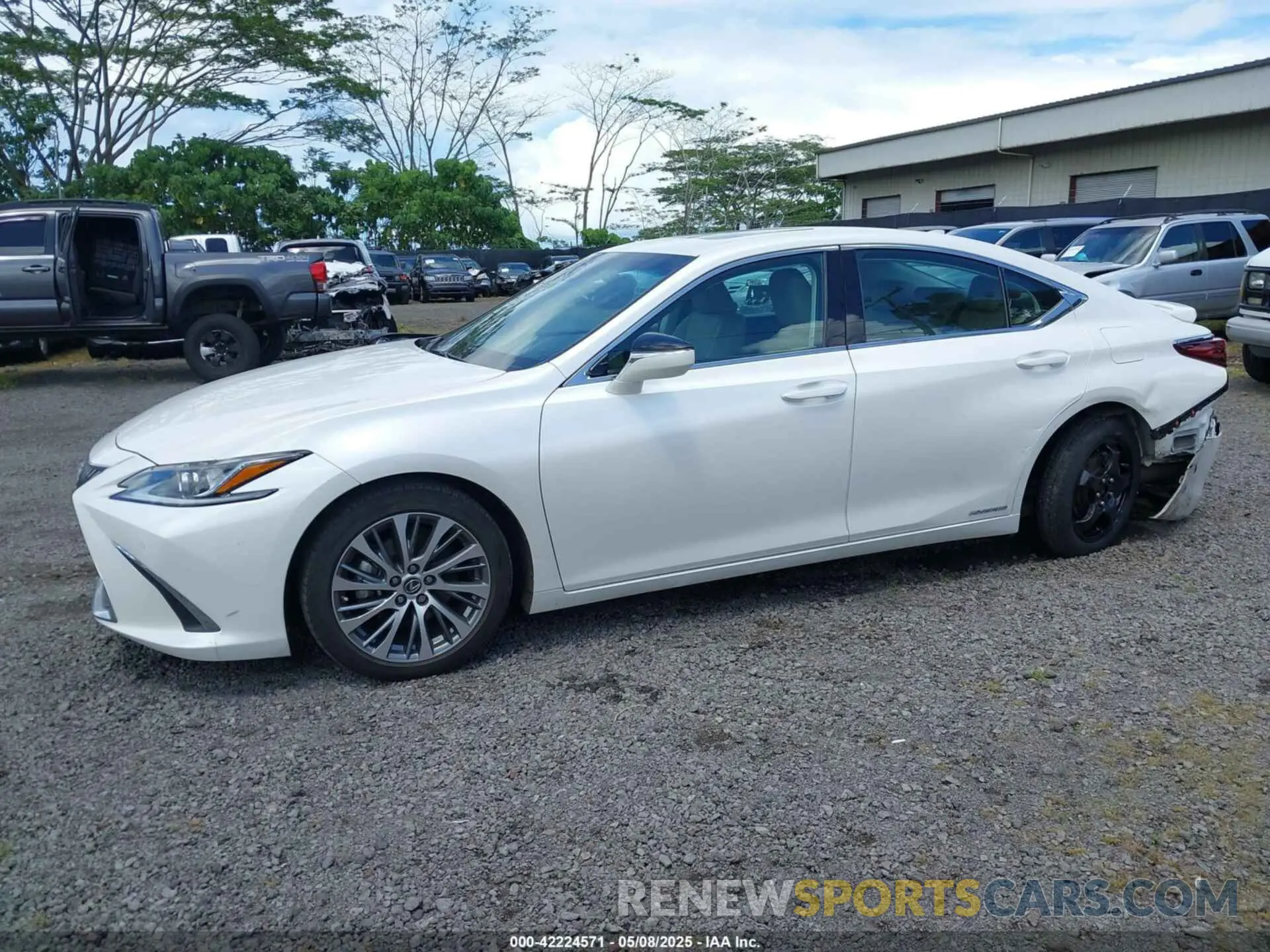 14 Photograph of a damaged car 58AD21B19LU005884 LEXUS ES 300H 2020