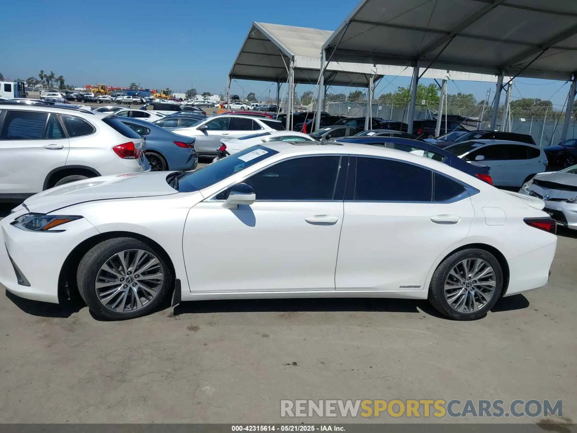 14 Photograph of a damaged car 58ADA1C1XMU003788 LEXUS ES 300H 2021