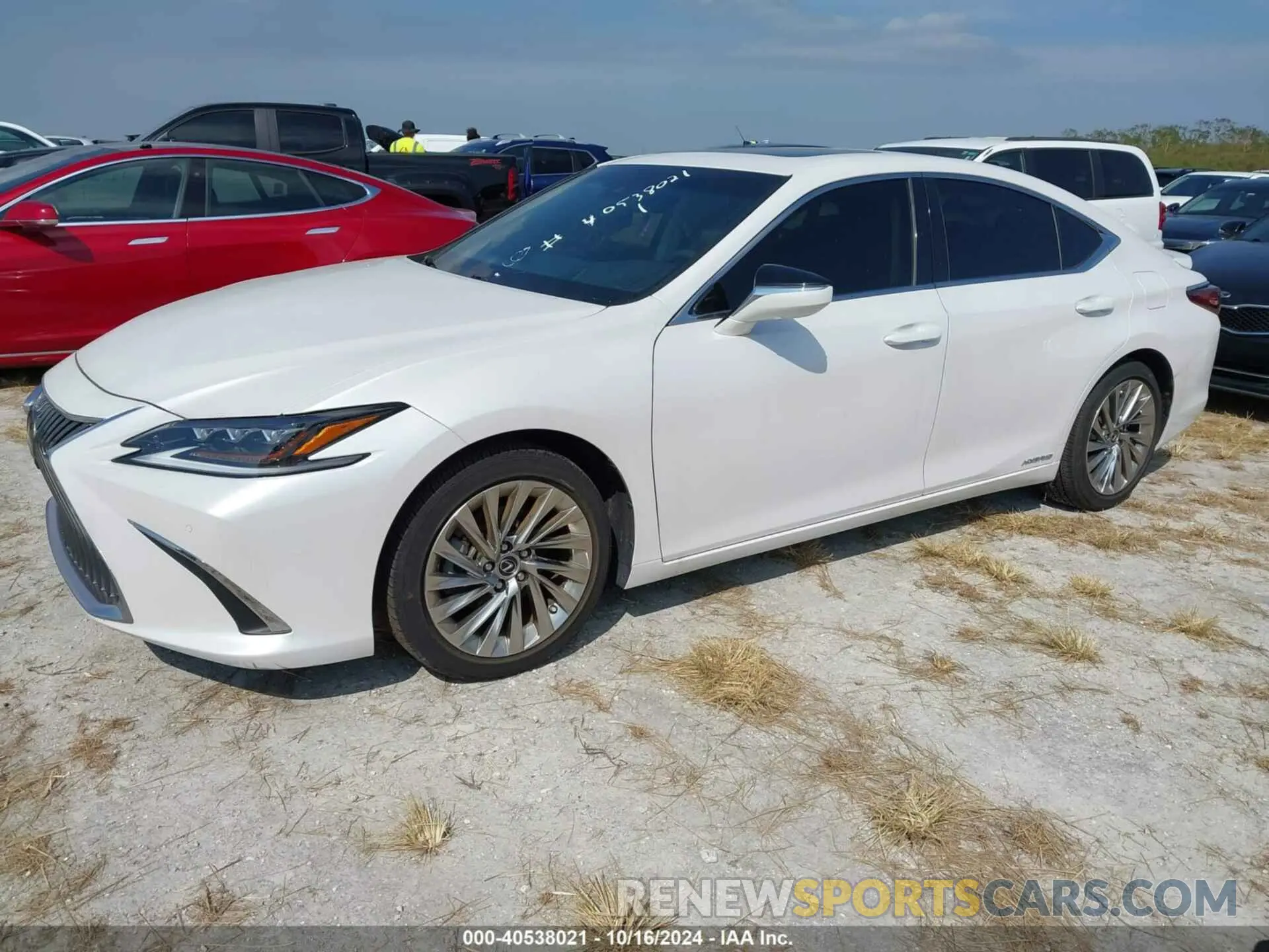 2 Photograph of a damaged car 58AFA1C13MU010462 LEXUS ES 300H 2021