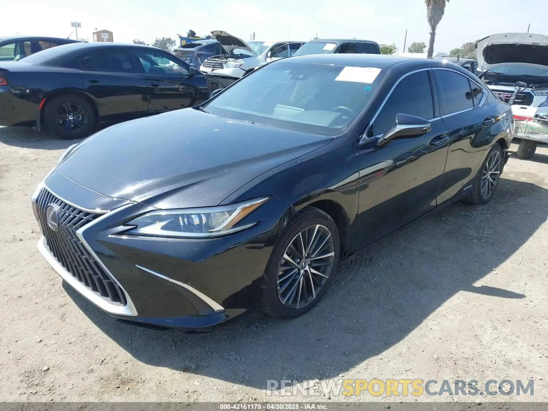 2 Photograph of a damaged car 58ADA1C13NU013399 LEXUS ES 300H 2022