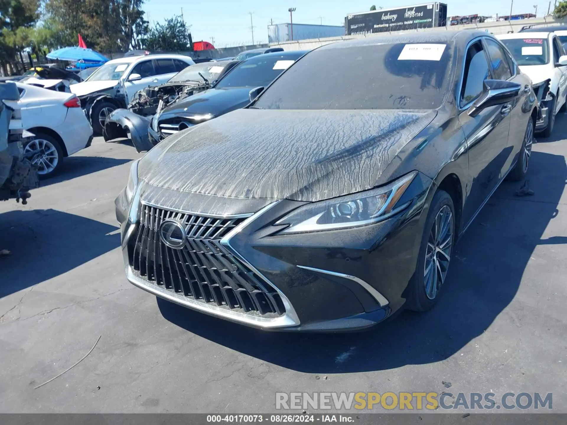 12 Photograph of a damaged car 58ADA1C12RU040034 LEXUS ES 300H 2024
