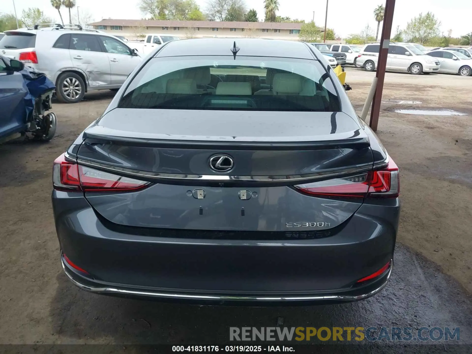 16 Photograph of a damaged car 58ADA1C15RU050623 LEXUS ES 300H 2024