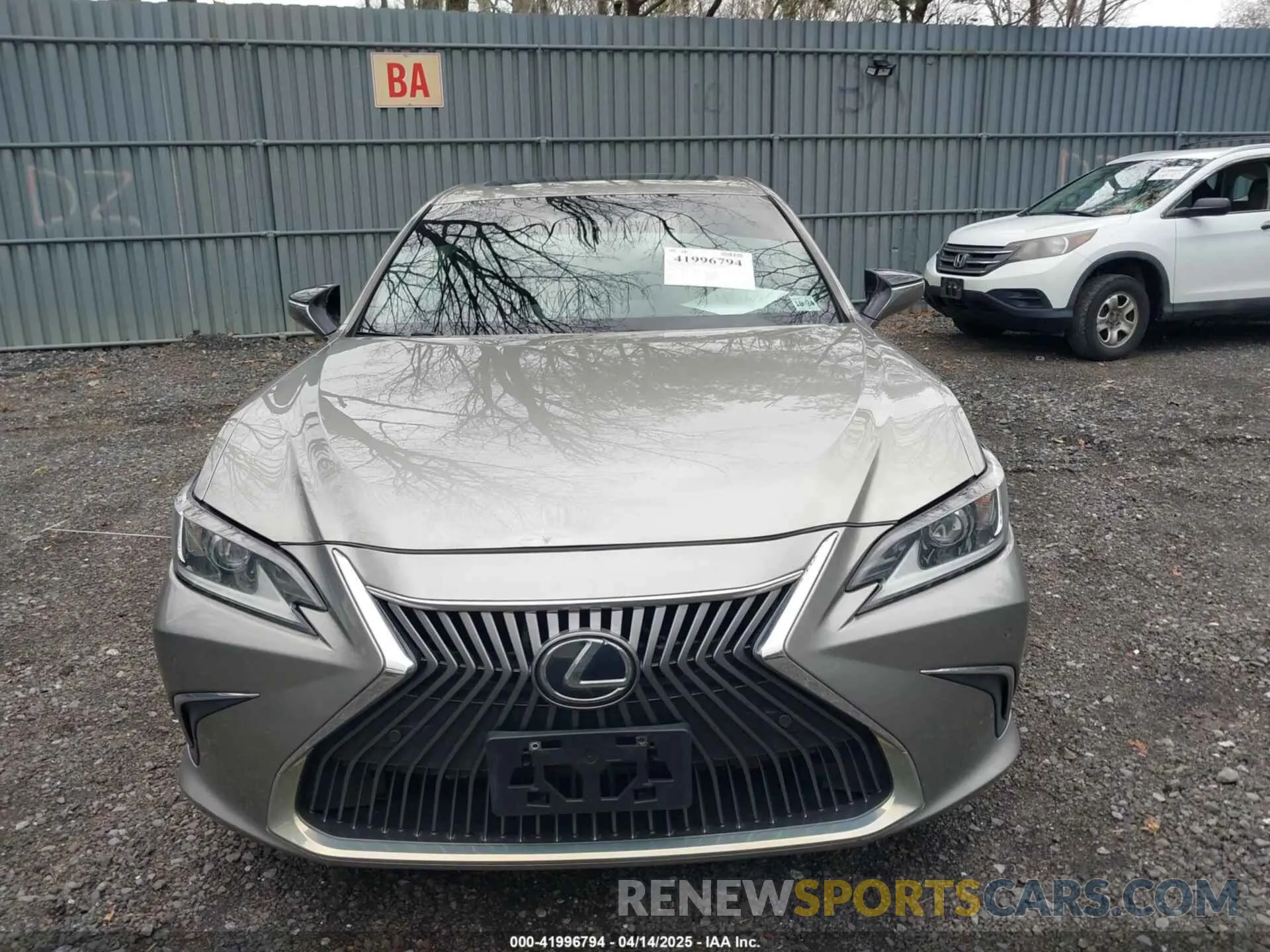 12 Photograph of a damaged car 58ABZ1B11KU051324 LEXUS ES 350 2019