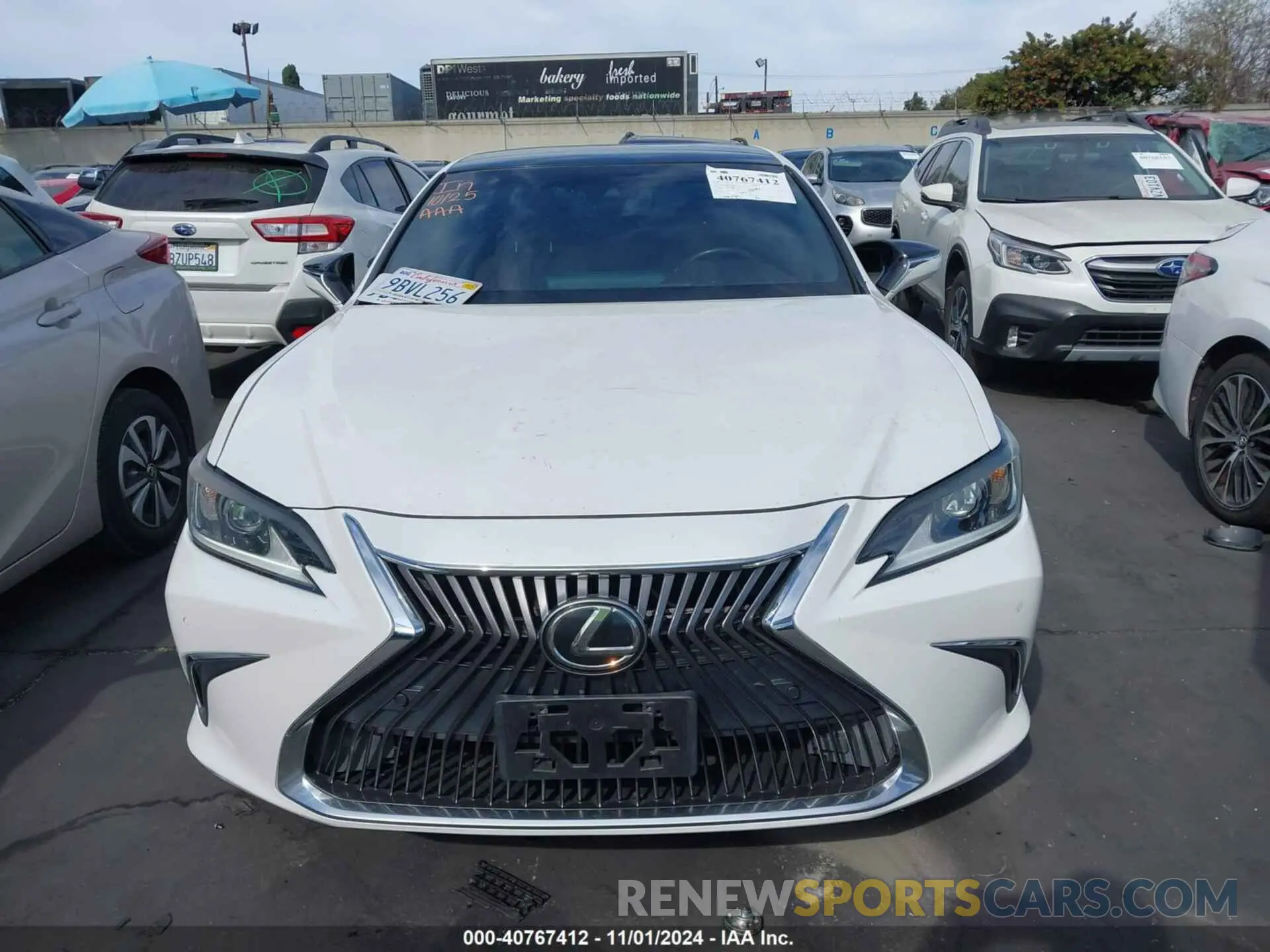12 Photograph of a damaged car 58ABZ1B14KU027471 LEXUS ES 350 2019