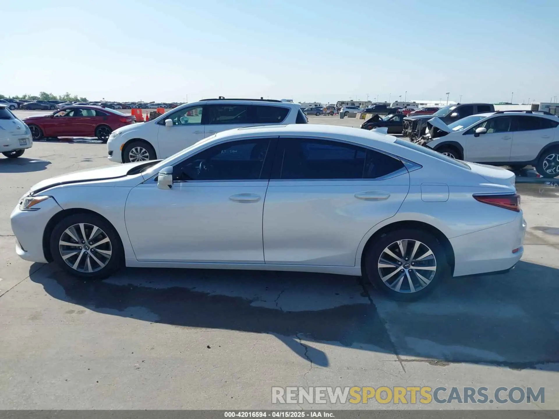 13 Photograph of a damaged car 58ABZ1B14KU034209 LEXUS ES 350 2019