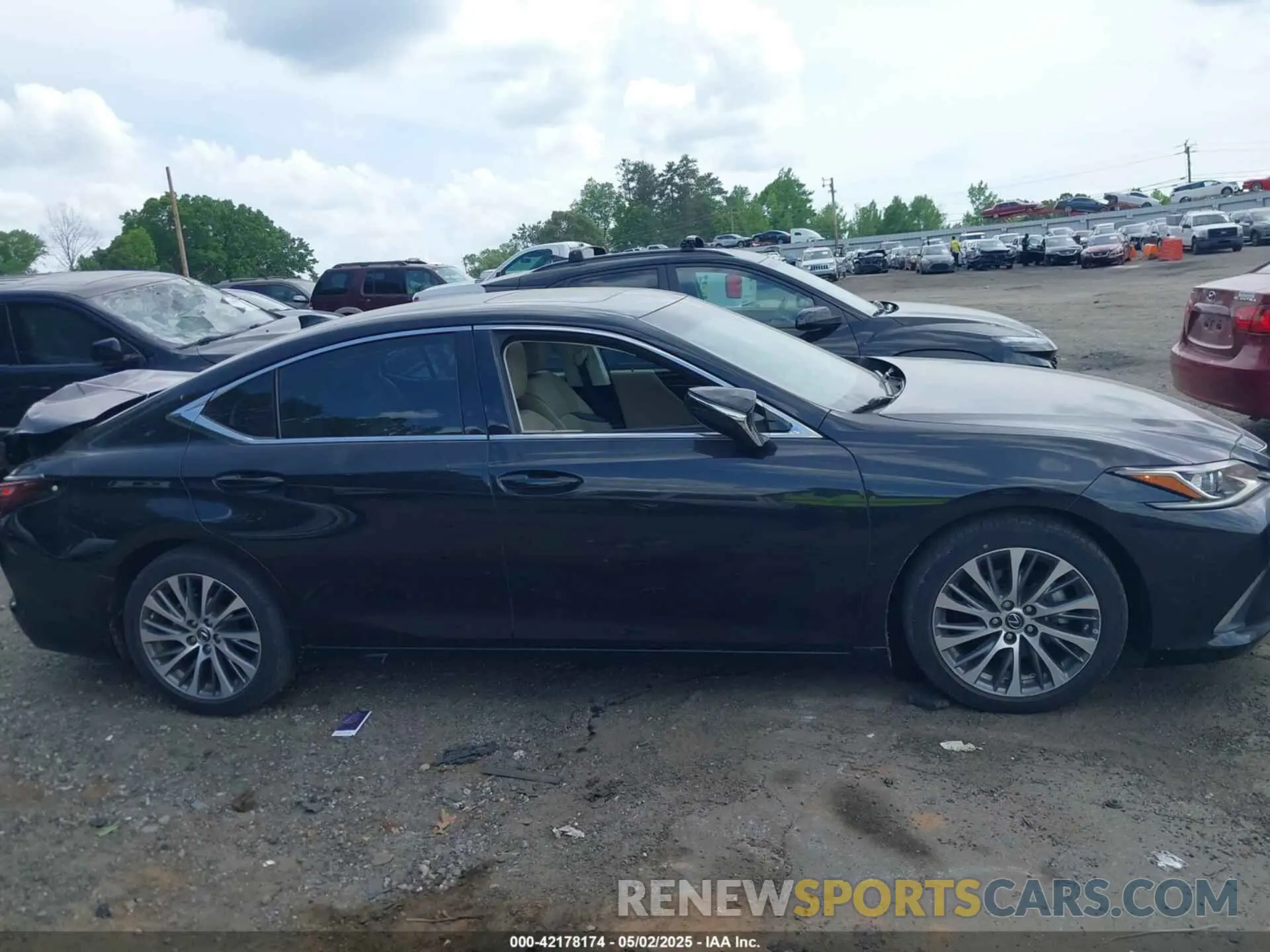 13 Photograph of a damaged car 58ABZ1B16KU020442 LEXUS ES 350 2019