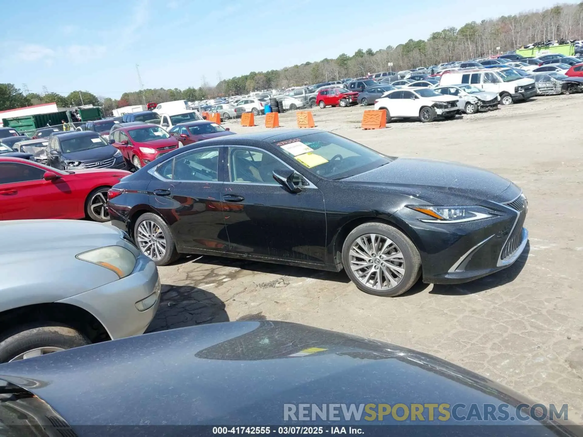 13 Photograph of a damaged car 58ABZ1B19KU026736 LEXUS ES 350 2019