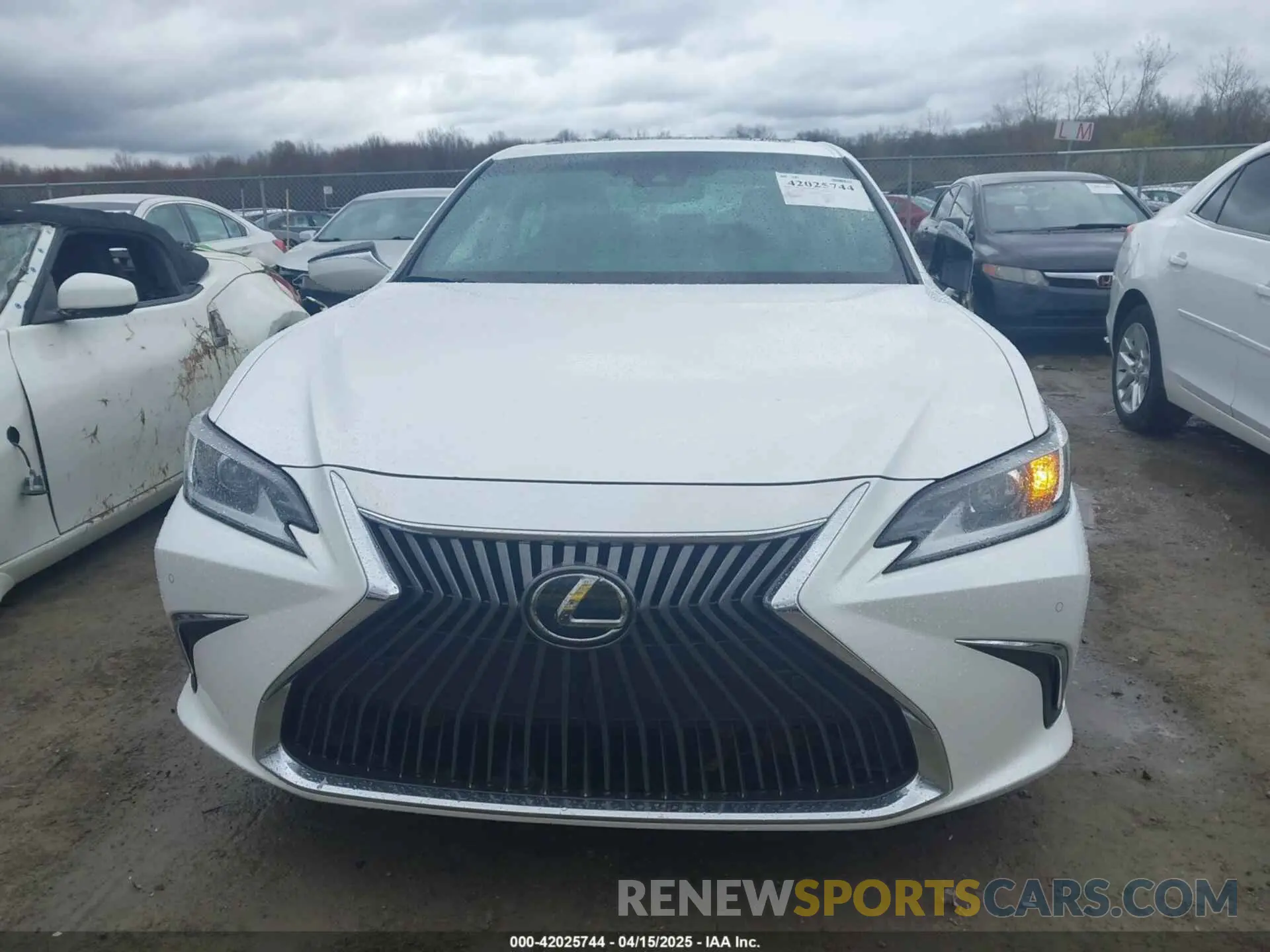 12 Photograph of a damaged car 58ABZ1B1XKU010853 LEXUS ES 350 2019