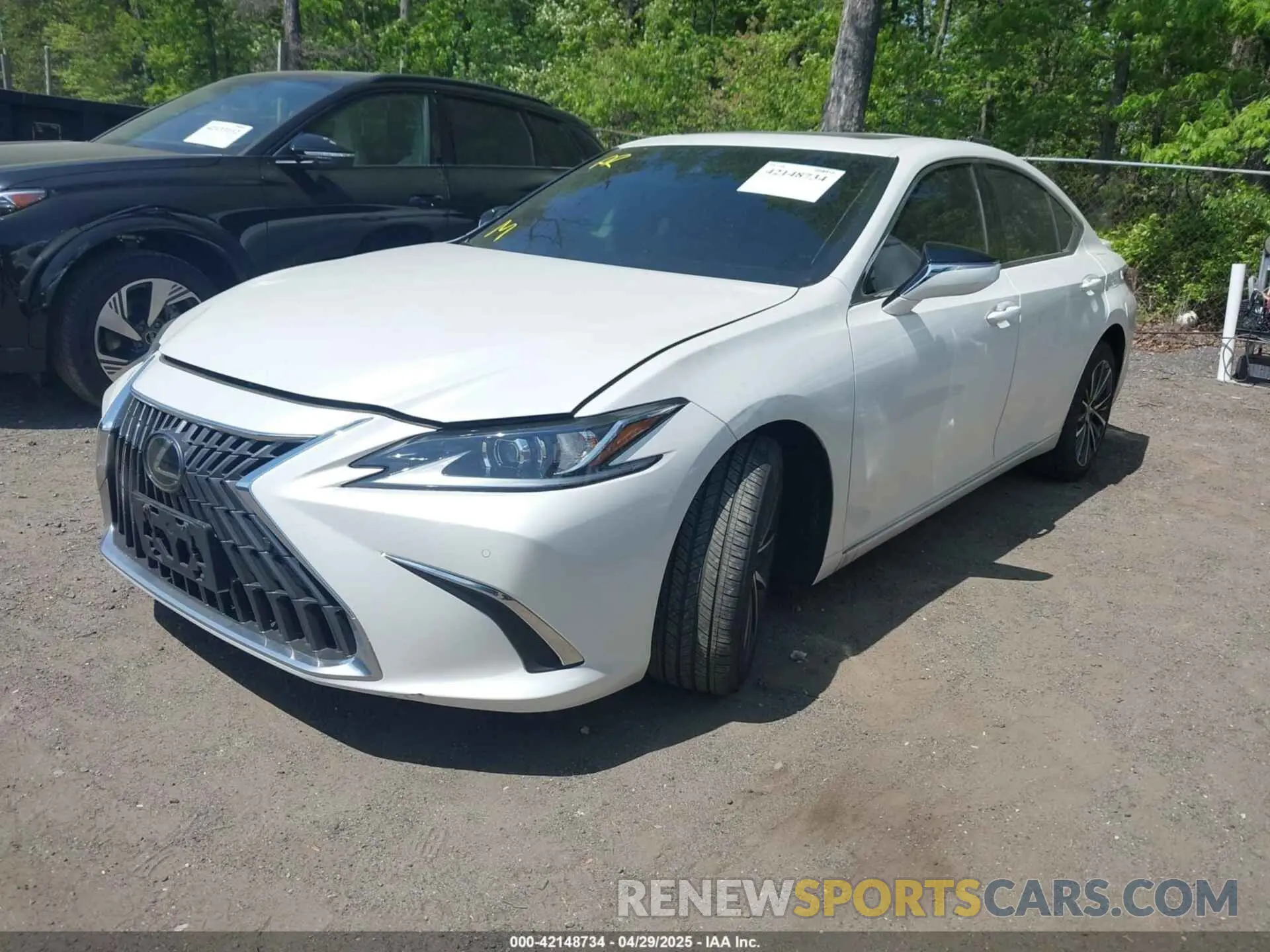 2 Photograph of a damaged car 58ADZ1B10PU146036 LEXUS ES 350 2023