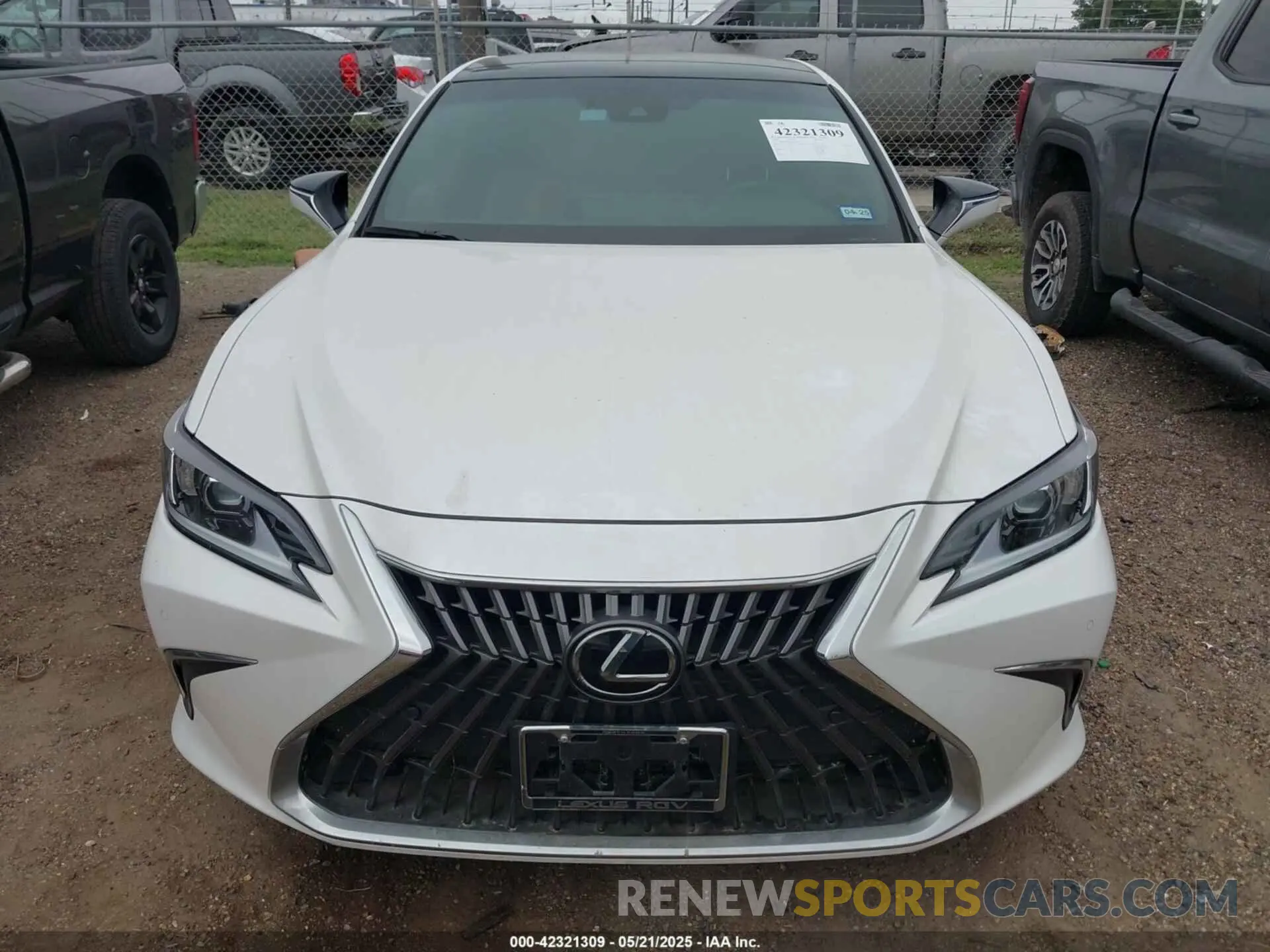 6 Photograph of a damaged car 58ADZ1B12PU150508 LEXUS ES 350 2023