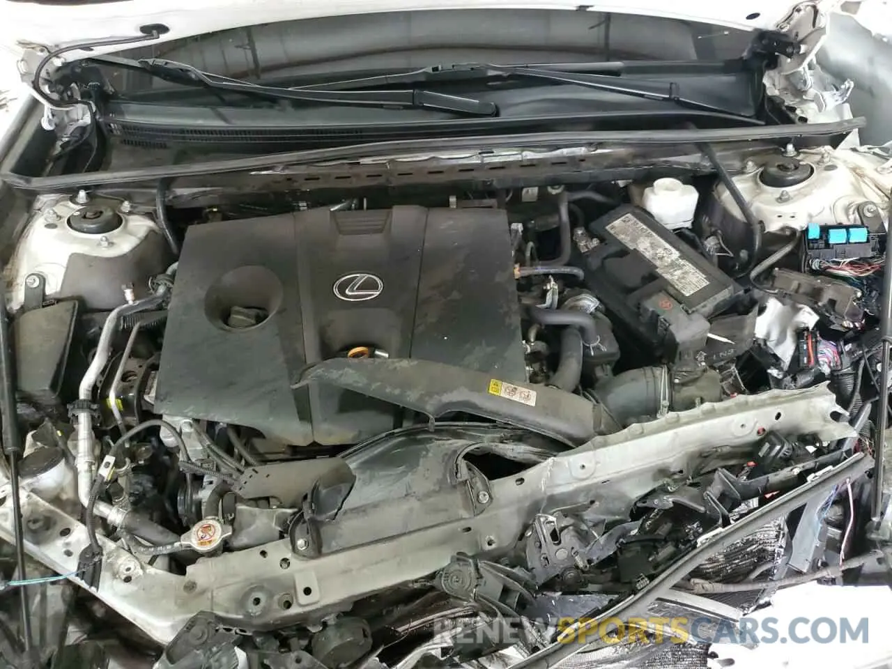 11 Photograph of a damaged car 58AD11D14MU003218 LEXUS ES250 2021