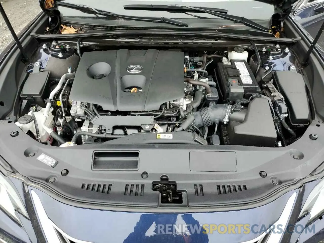 11 Photograph of a damaged car 58AD11D14MU003669 LEXUS ES250 2021