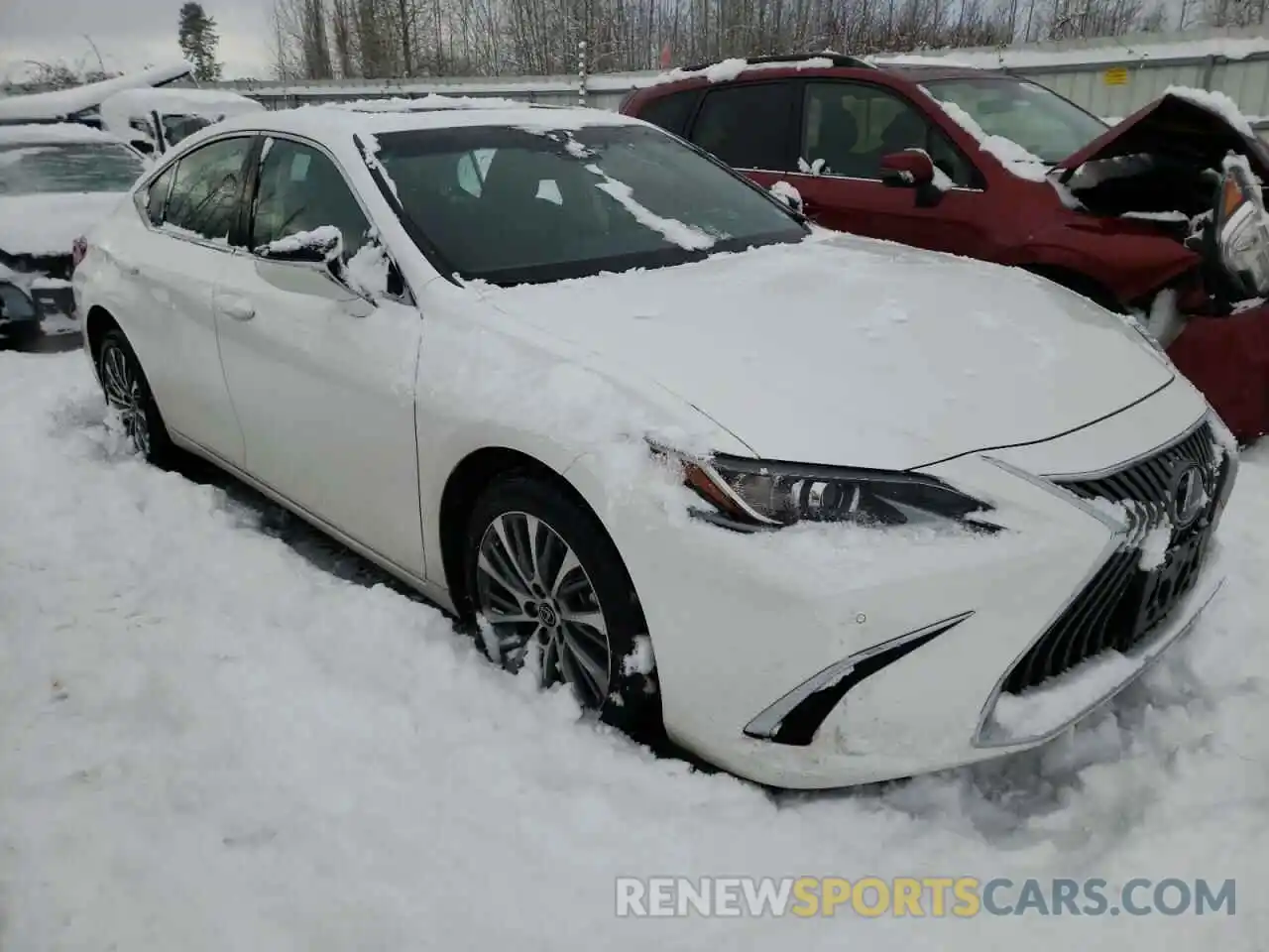 1 Photograph of a damaged car 58AD11D14MU007091 LEXUS ES250 2021