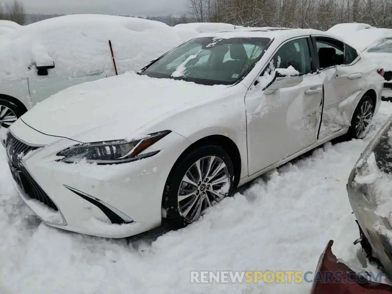 2 Photograph of a damaged car 58AD11D14MU007091 LEXUS ES250 2021