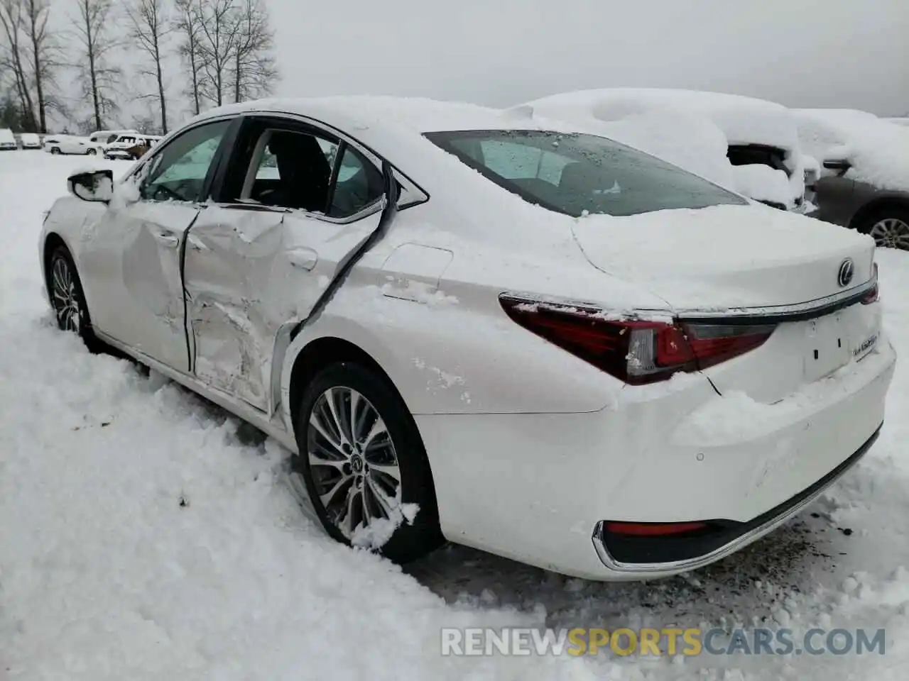 3 Photograph of a damaged car 58AD11D14MU007091 LEXUS ES250 2021